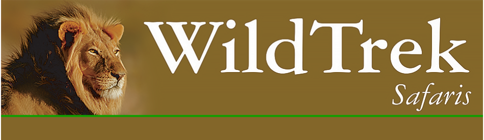 WildTrek Safaris