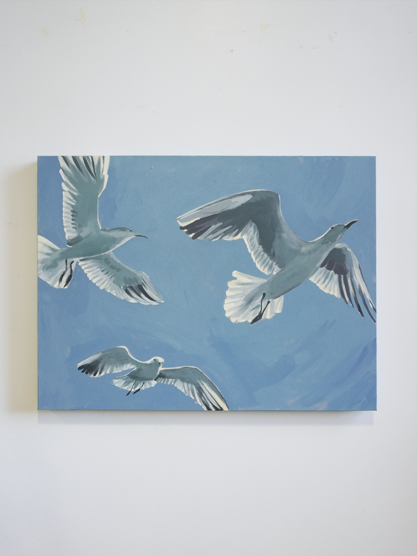 Seagulls