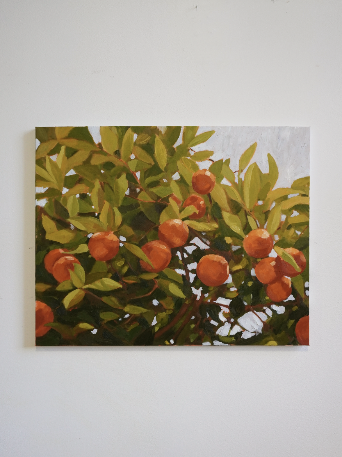 Orange Tree