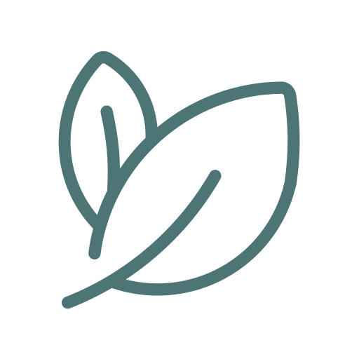 Simple line drawing of two overlapping leaves.