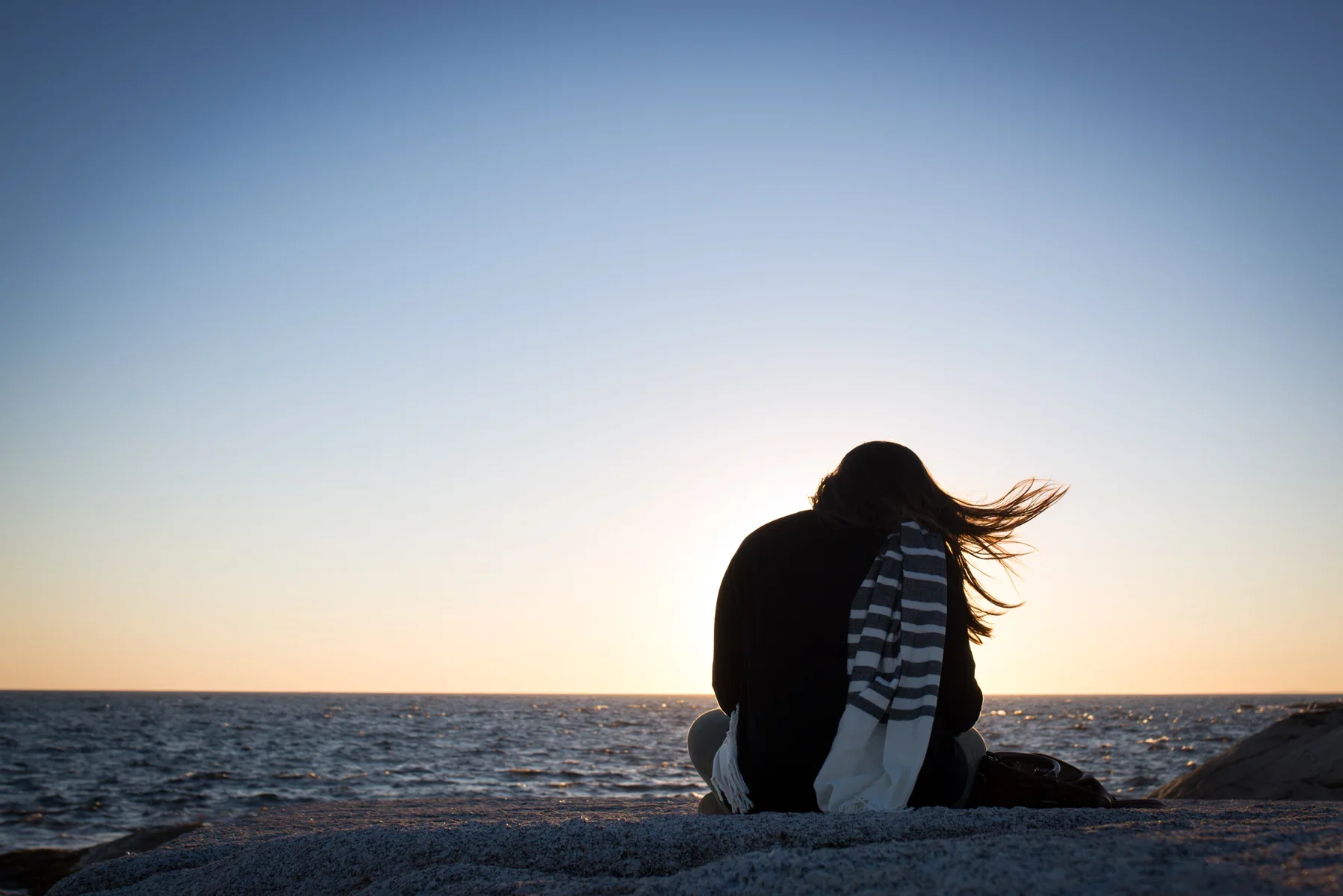 bee by the ocean 4 © Michelle Doucette Photography.webp