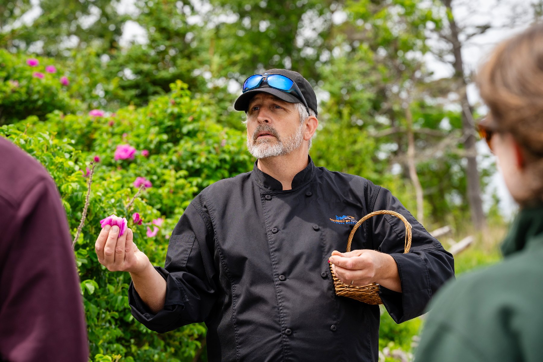 Foraging the Fundy Shore with Gourmet by Nature