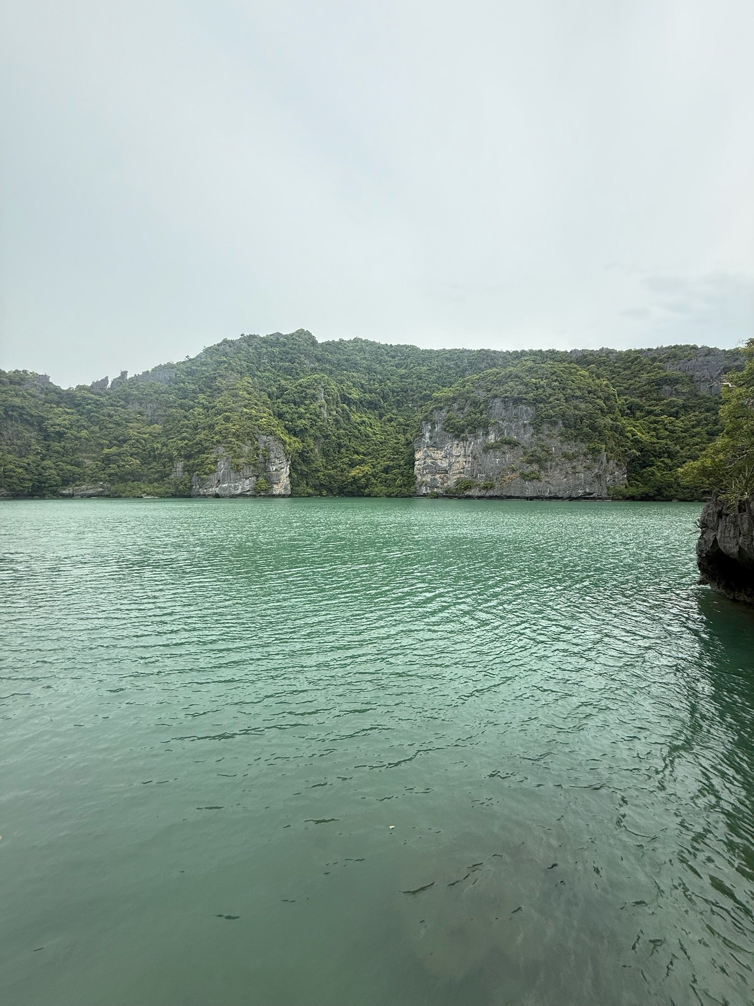 IMG_7948.jpeg