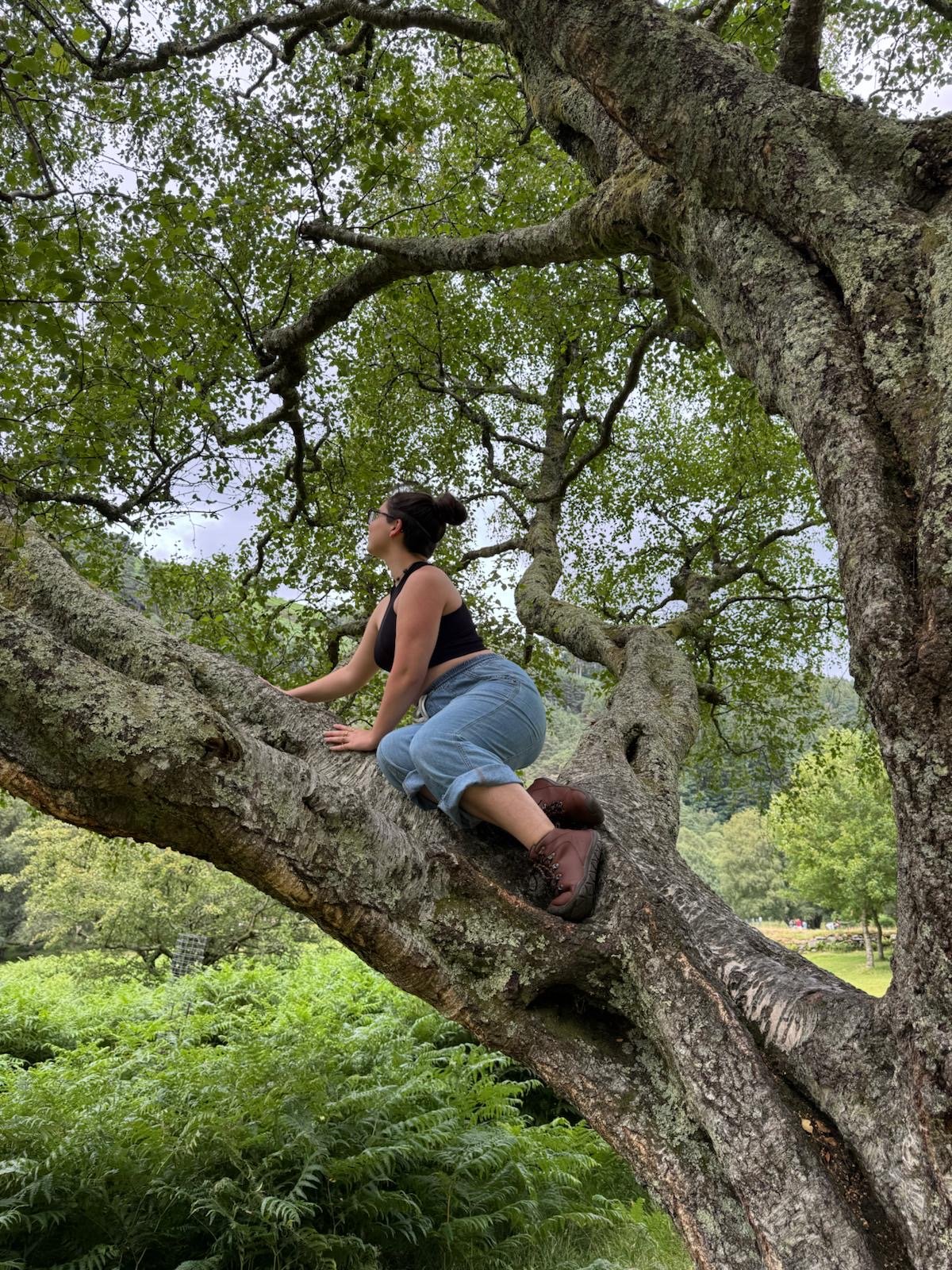 A woman with a bun hairstyle, black tank top, blue jeans, and brown boots crouches on a large tree branch, surrounded by green leaves and foliage.