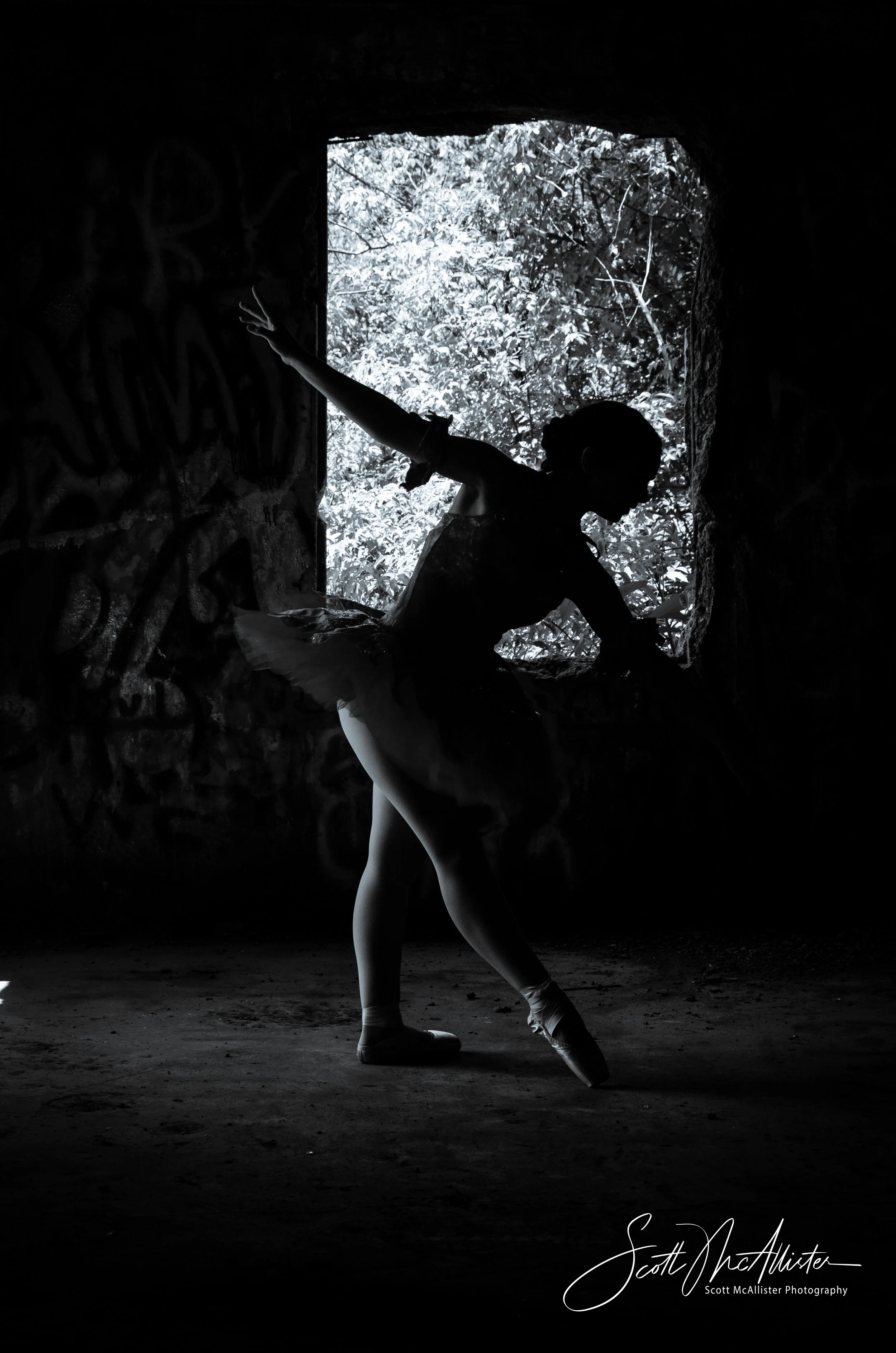 A silhouette of a ballet dancer in a pose, standing on one leg with the other leg bent and arms extended, with a window showing trees and foliage in the background.