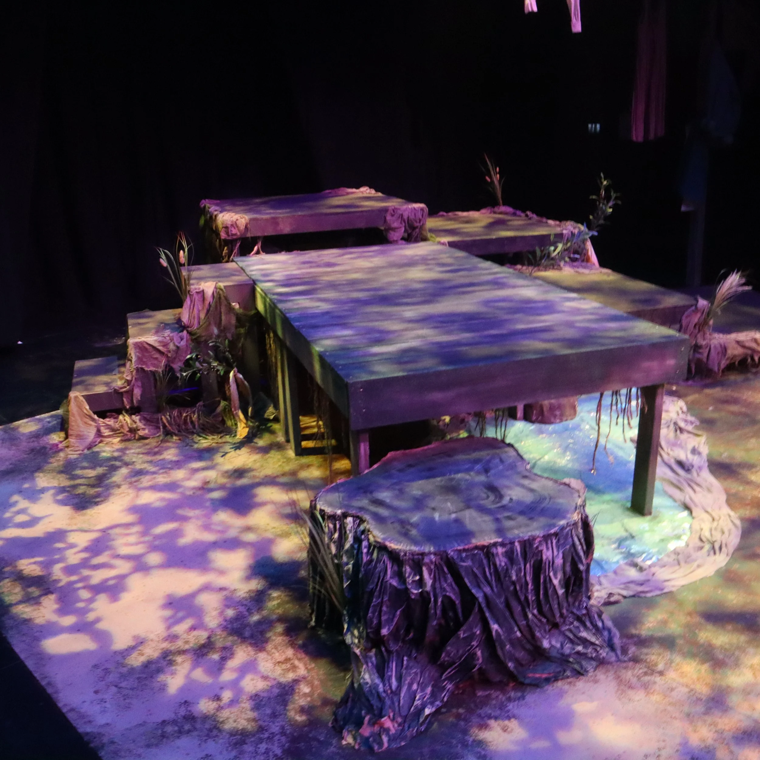 Dark stage with colorful lighting, showing several low tables covered with fabric, surrounded by plants or flowers.