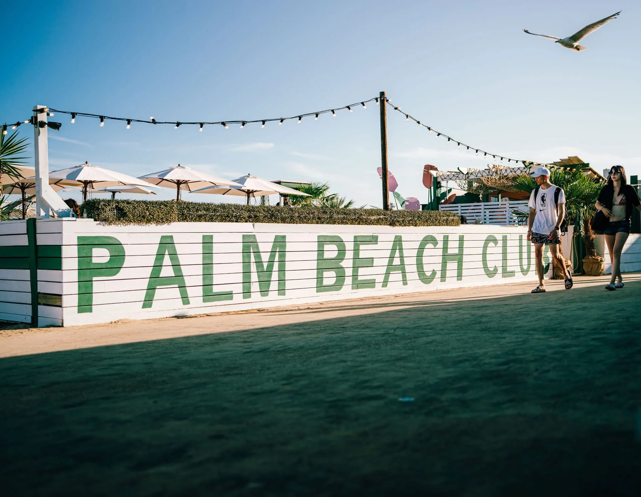 Sign painting for Palm Beach Club Bournemouth, opened as a temporary beach club by Seventa Events.