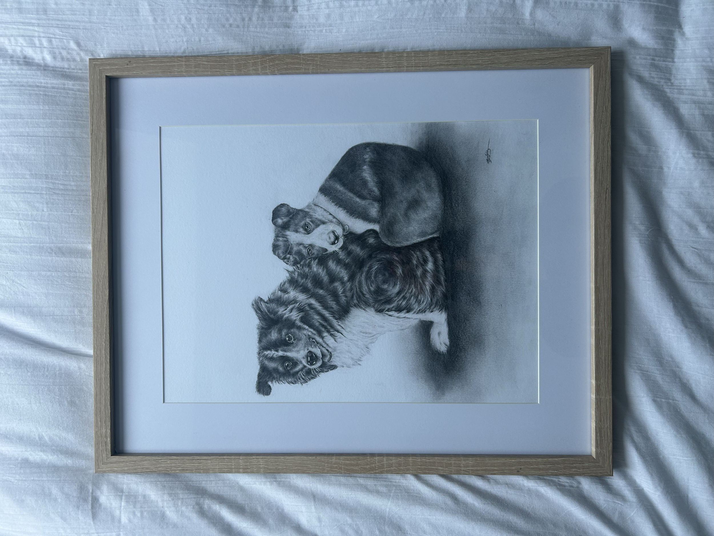 Pet portrait commission, 2x dogs - tonal pencil, A4, framed.