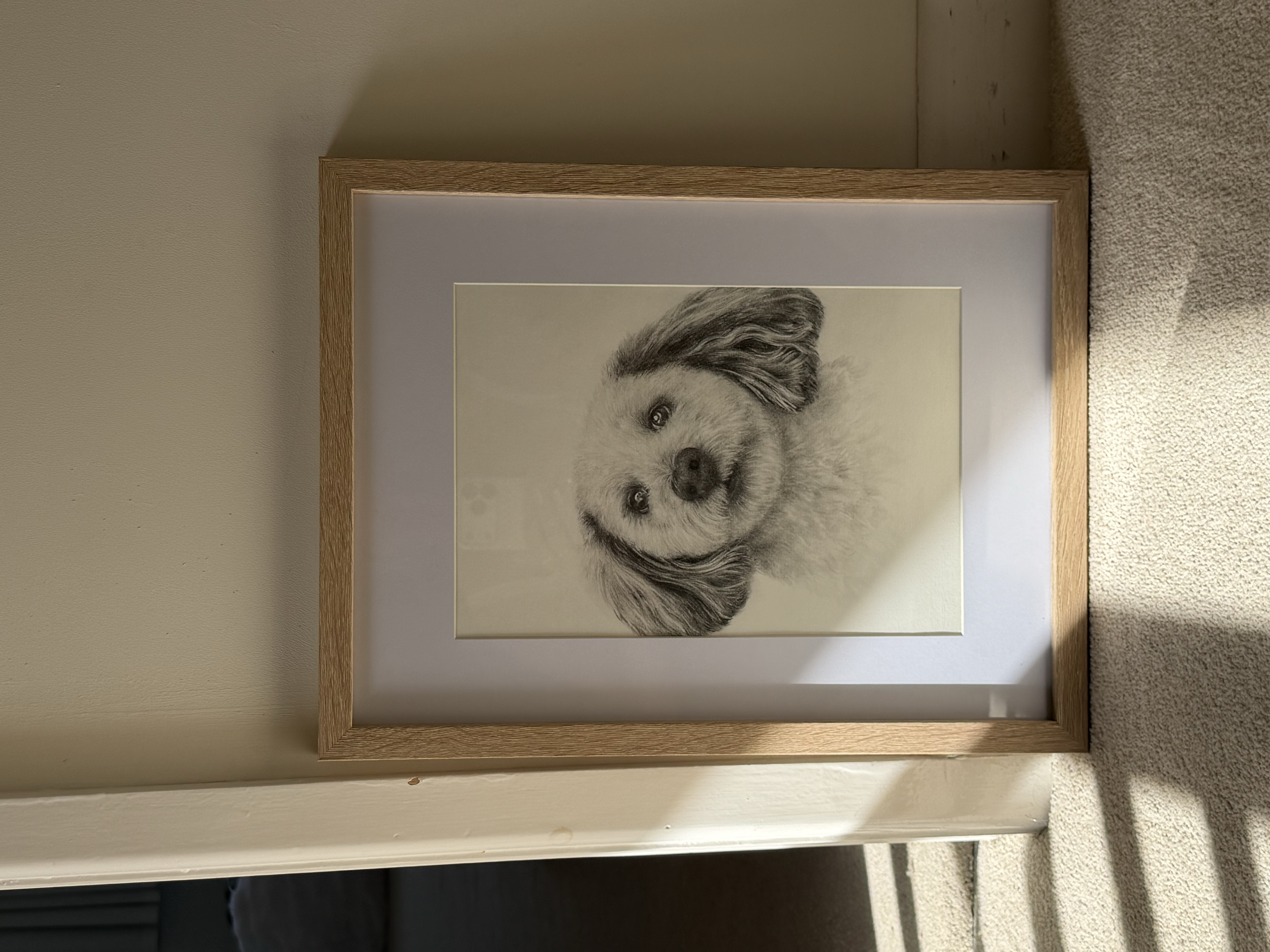 Pet portrait commission - tonal pencil, A4, framed.