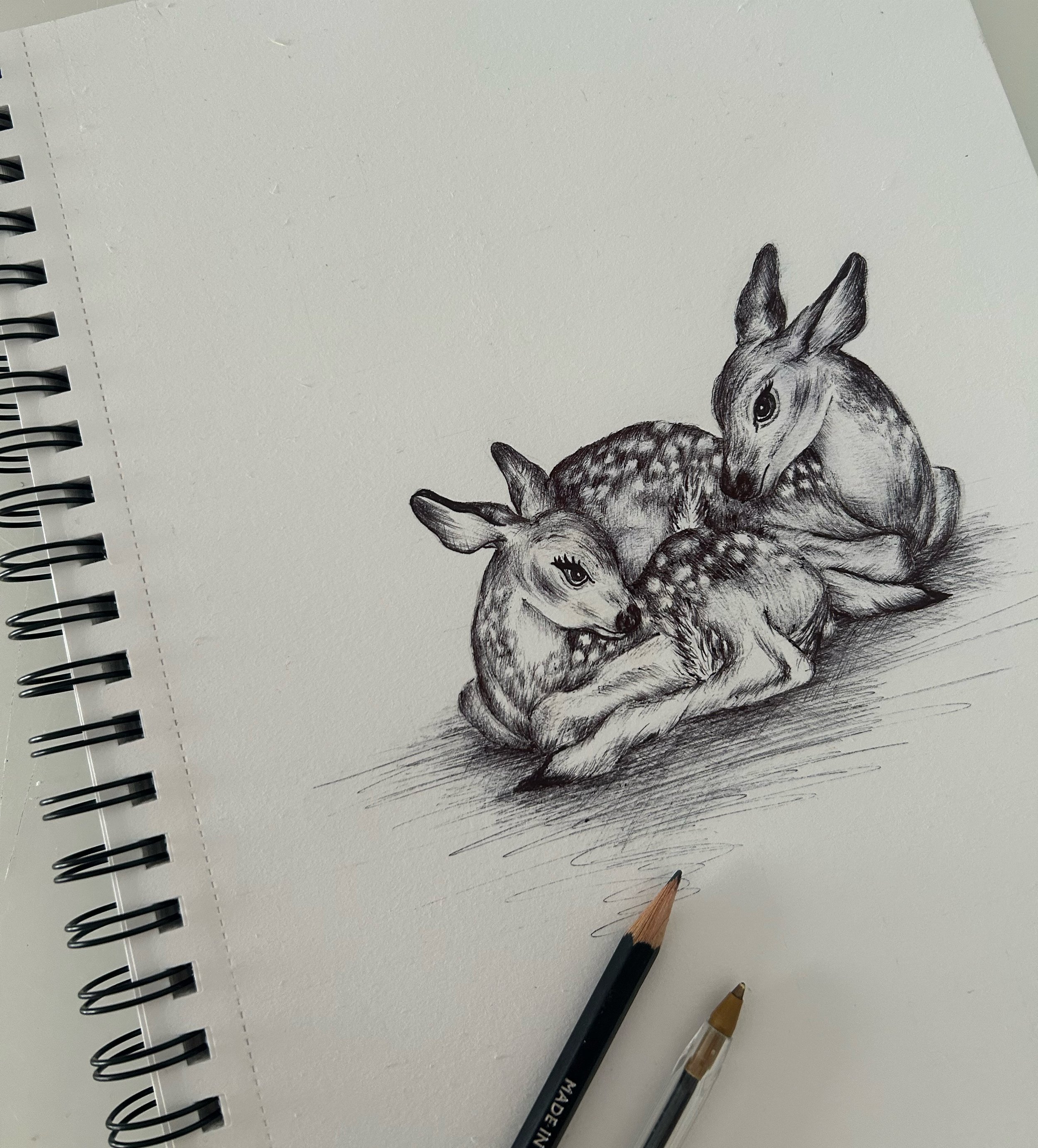 Deer biro commission.