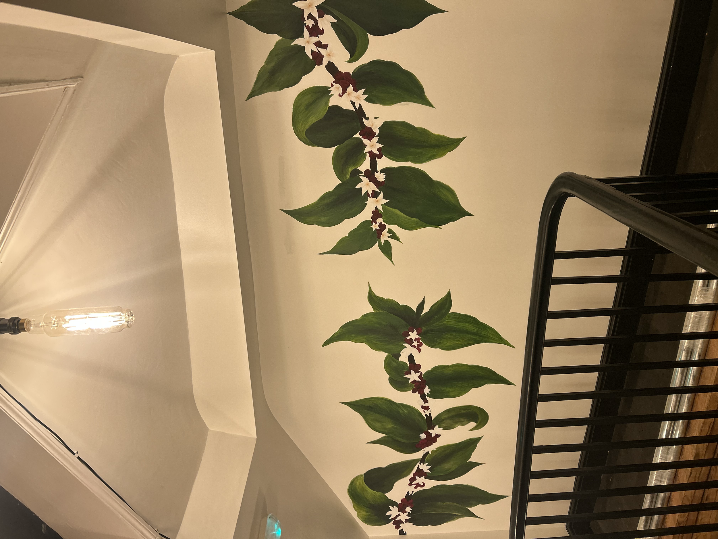 Coffee plant mural, hand painted for Sonder Coffee, Wimborne.