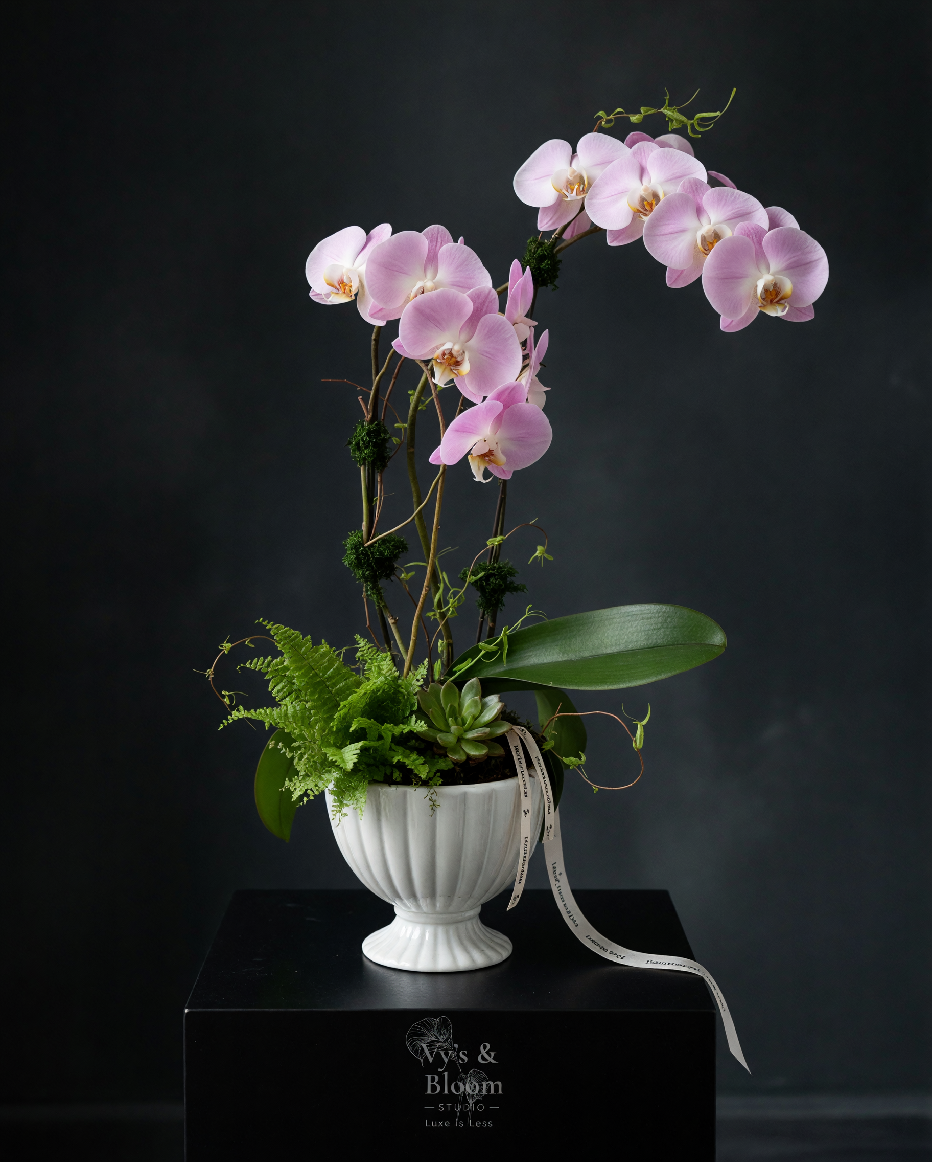 petalpro_1780339918981.png