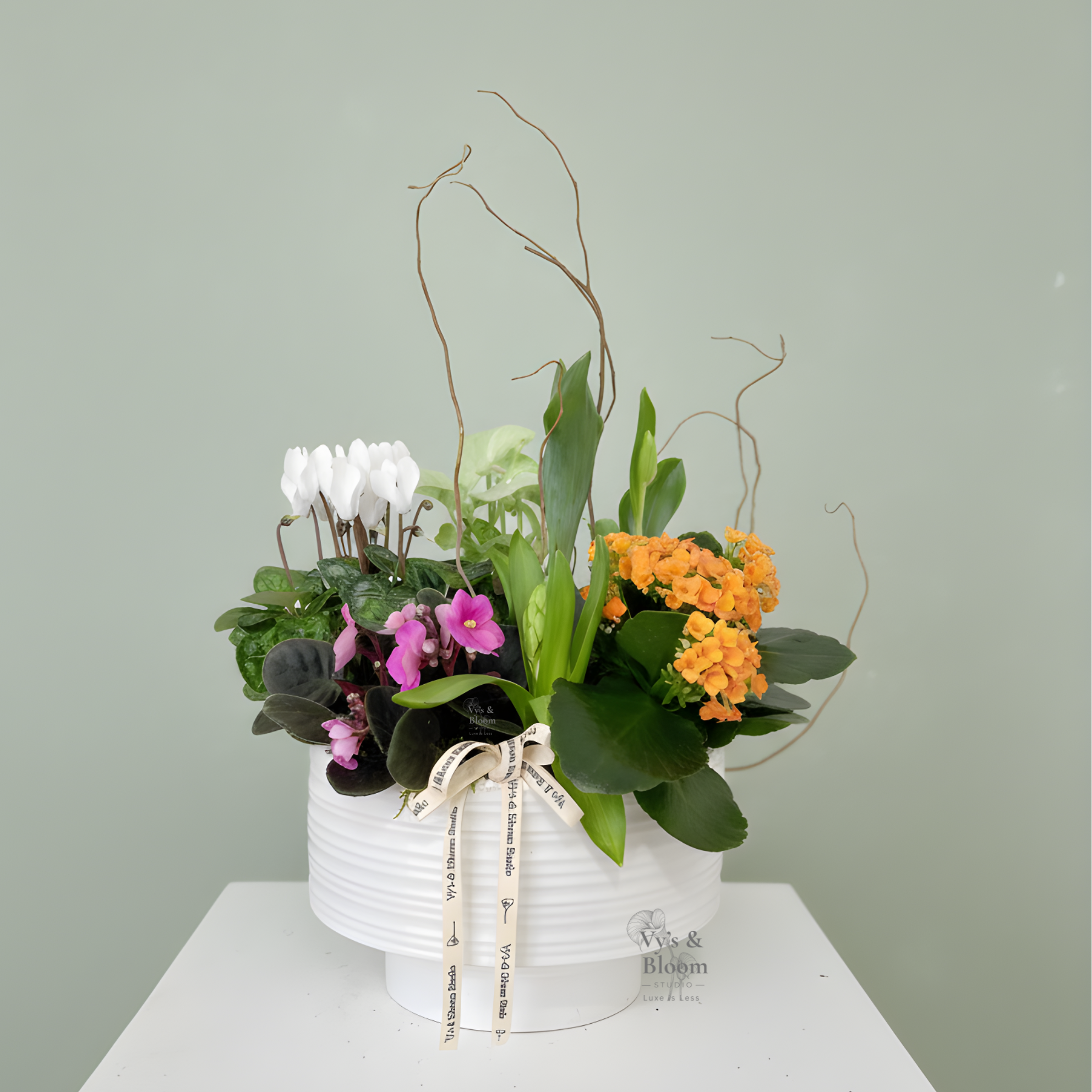 MSquareVbloom (44).png
