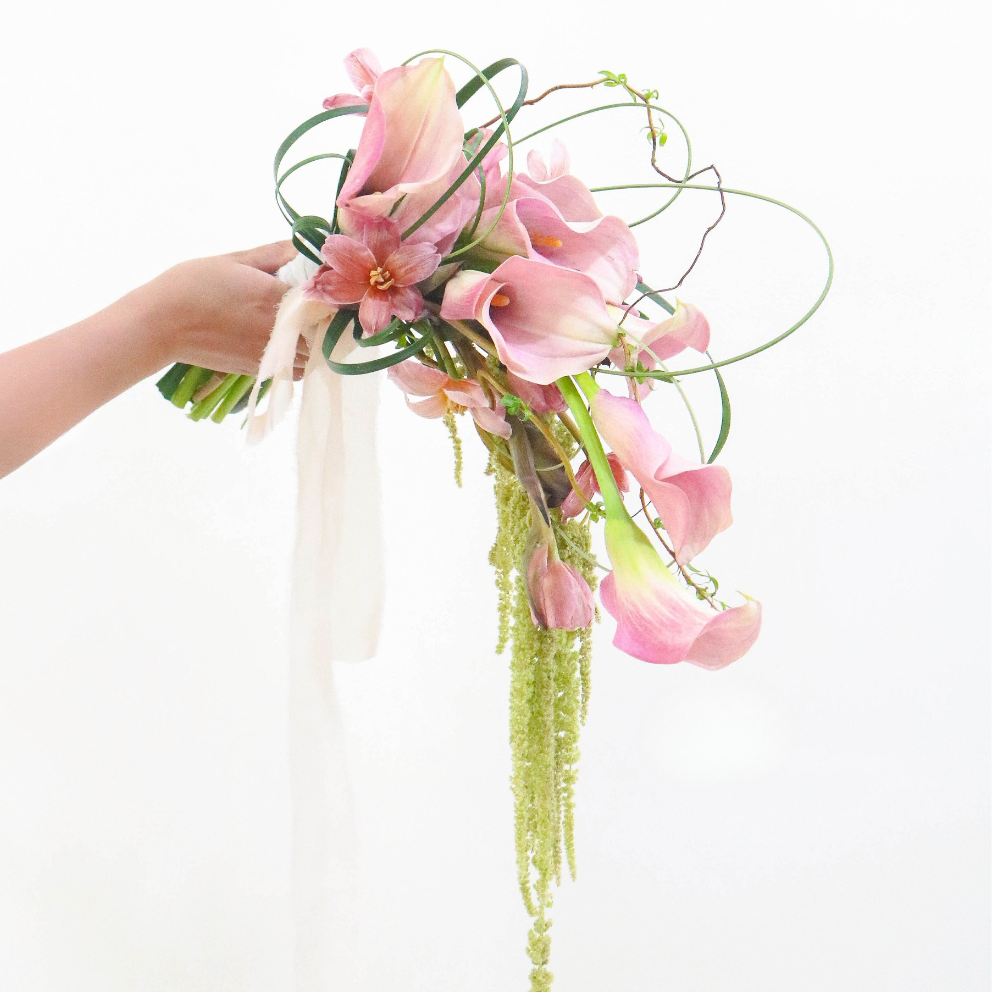 MSquareVbloom (1).png