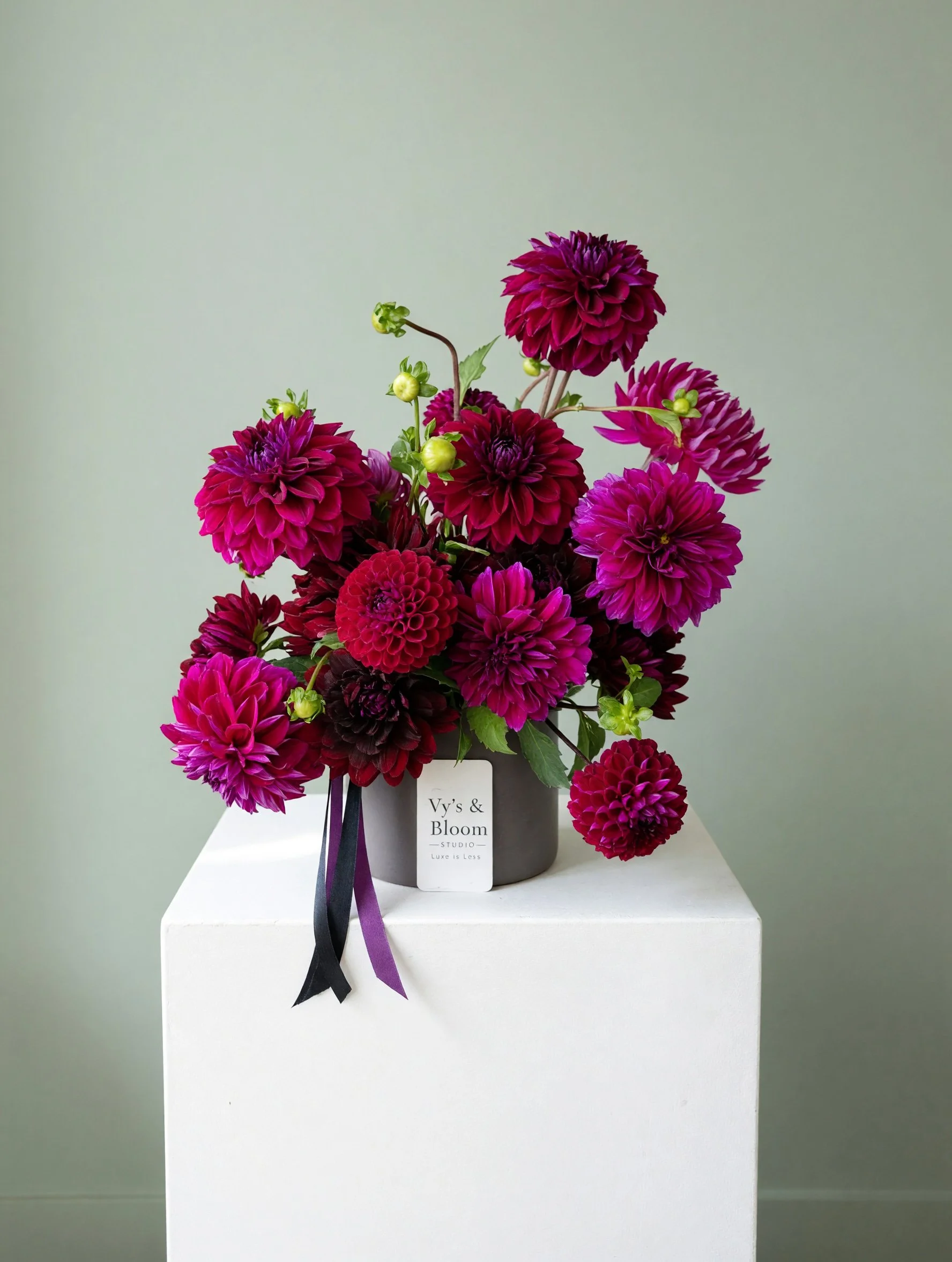 petalpro_1789951942220.jpg