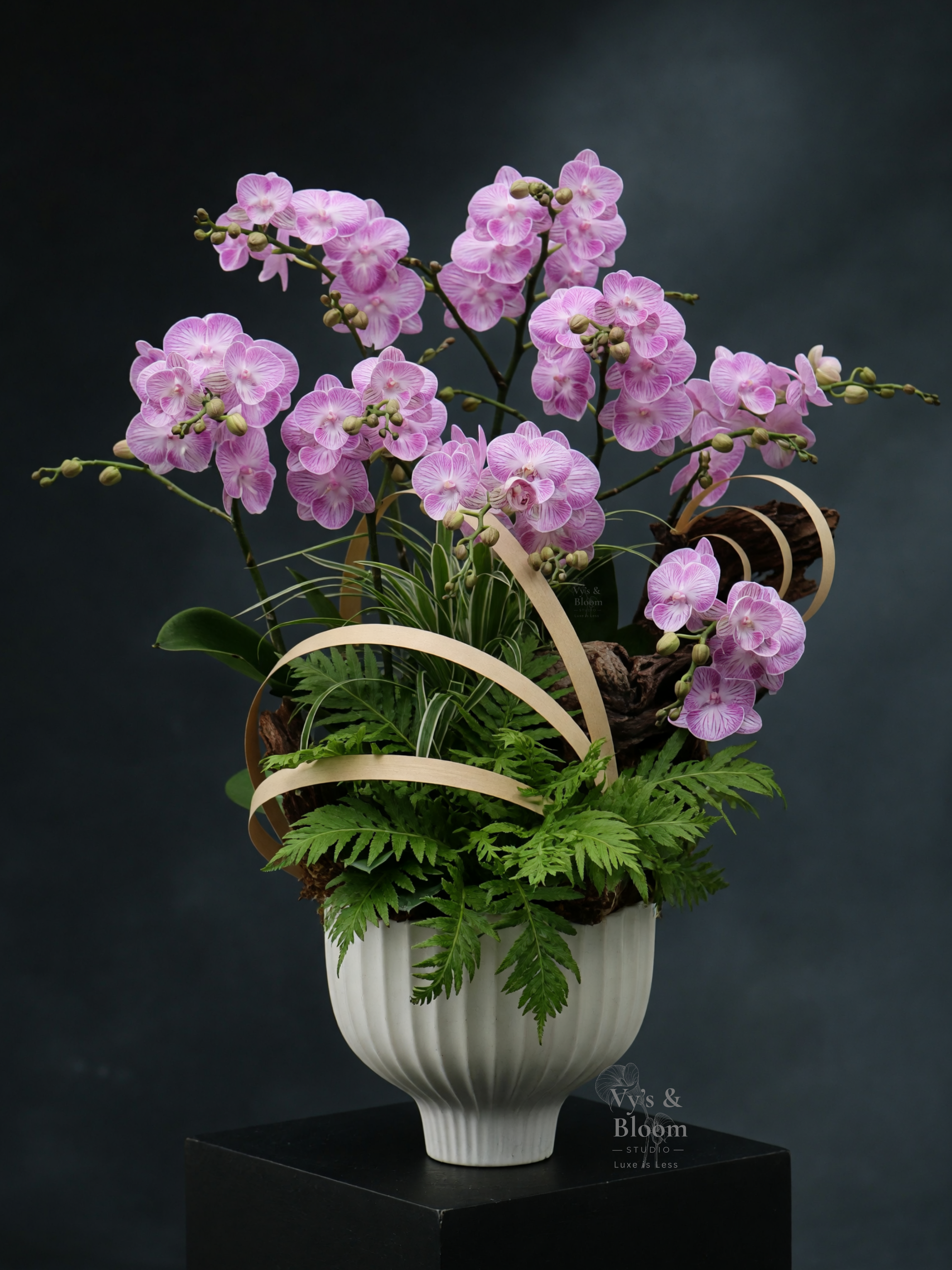 BrandMuscle - Lobby Orchid Planter
Chicago, Illinois