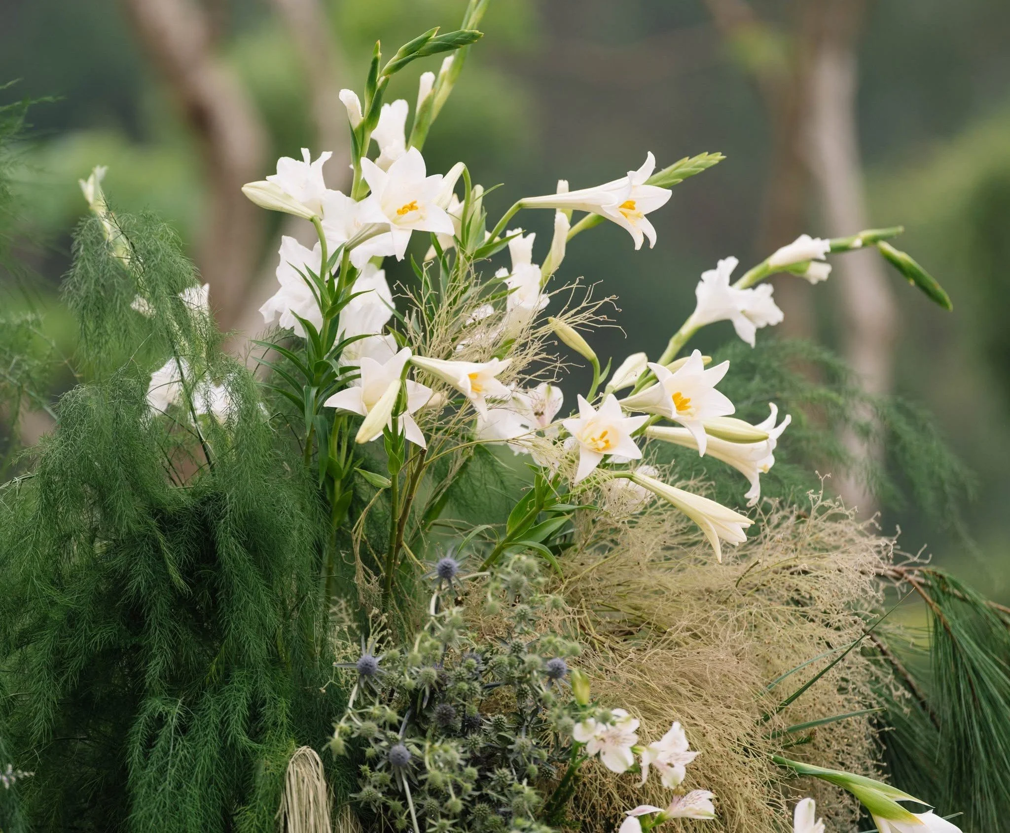 White flowers with yellow centers surrounded by green foliage and purple thistle-like plants on a natural ground