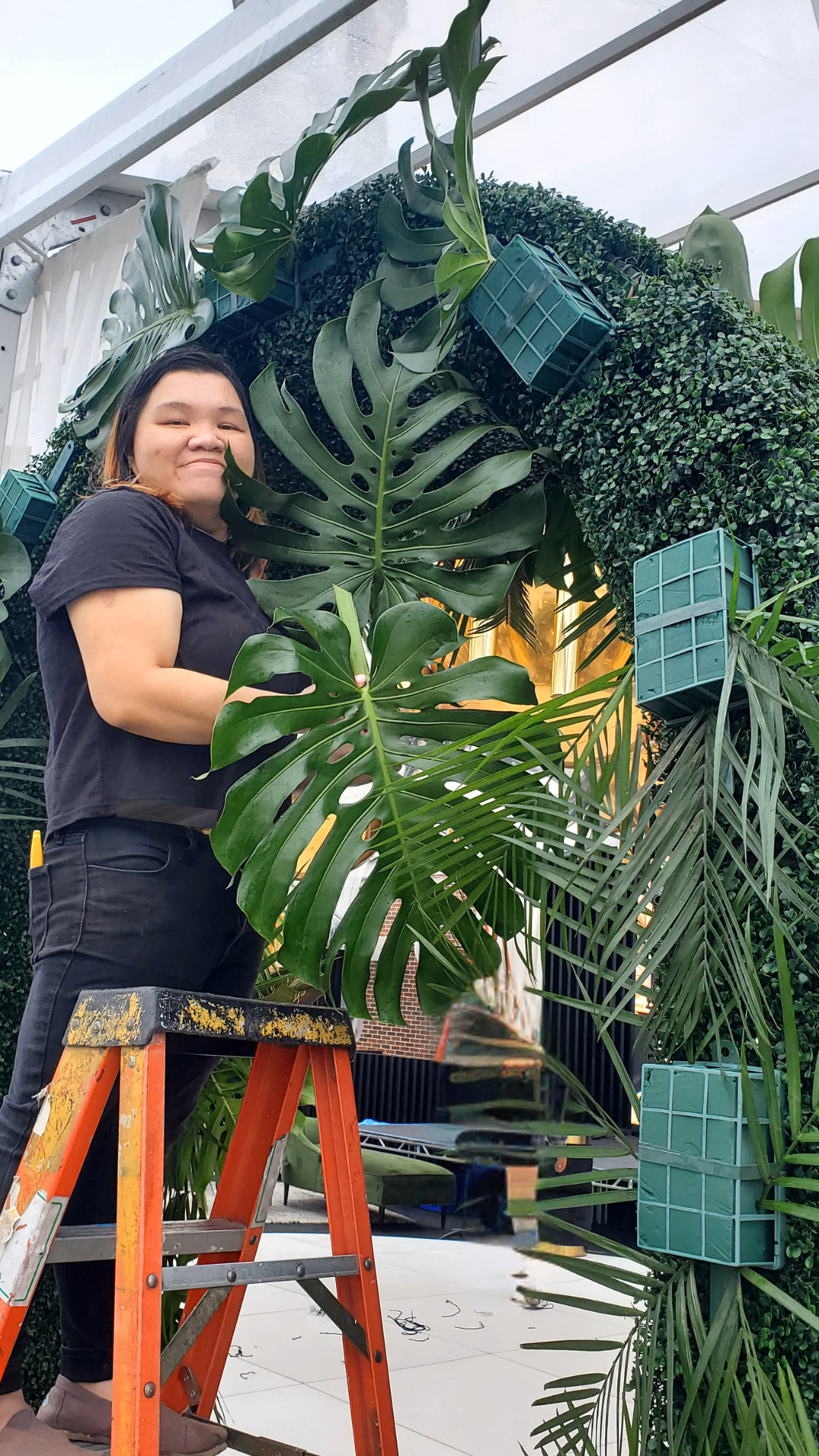 A woman standing on a ladder surrounded by large green indoor plants with a brick building and window in the background.