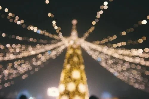 Christmas light installation, softly lit decorated tree