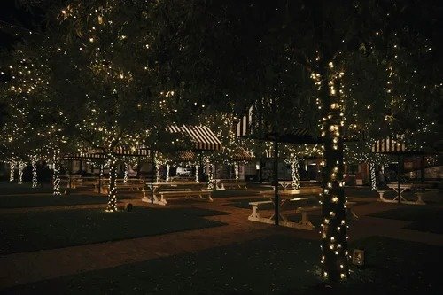 Christmas light installation lighting up an Orlando-area park at night