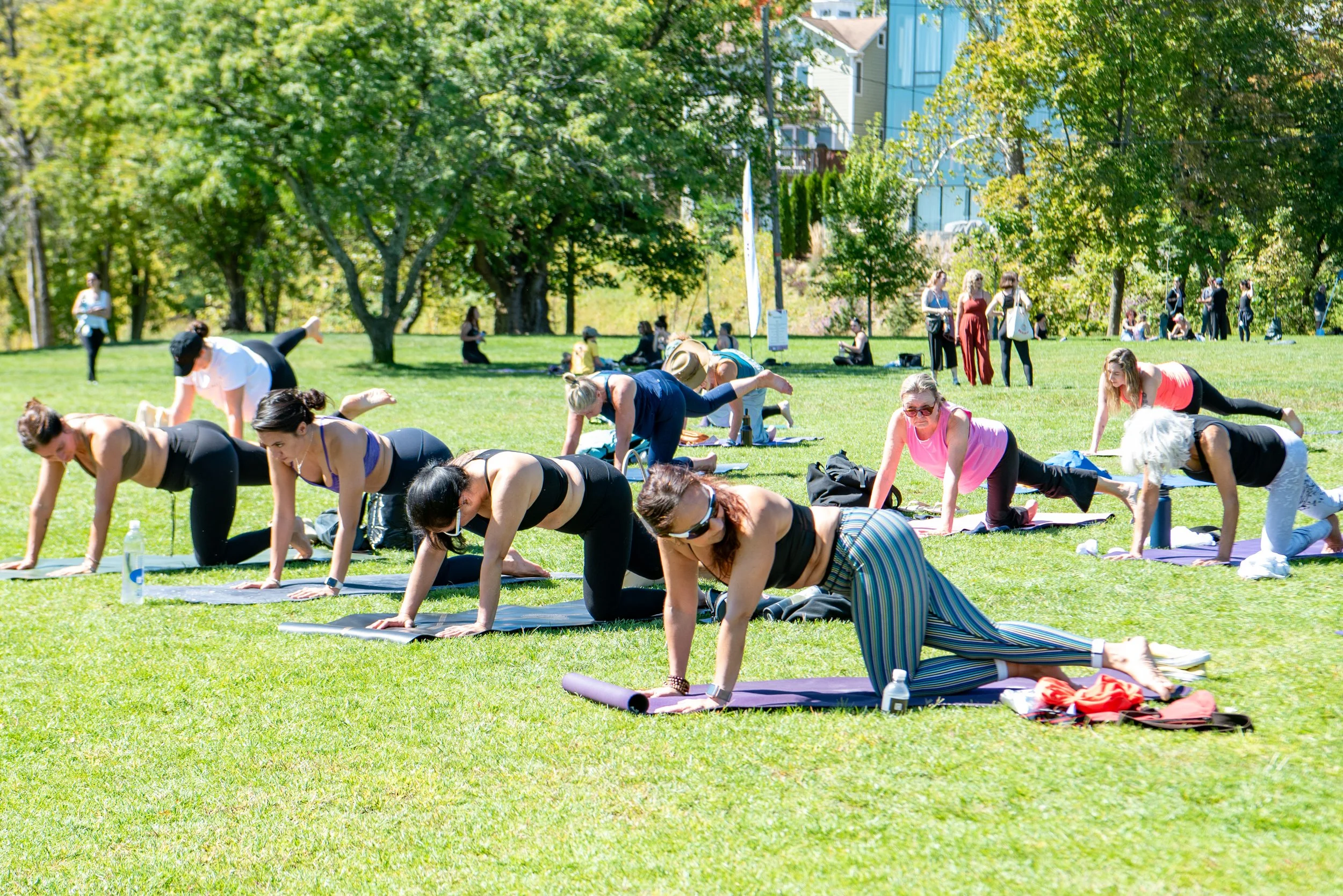 RocklandYogaFest-35.jpg