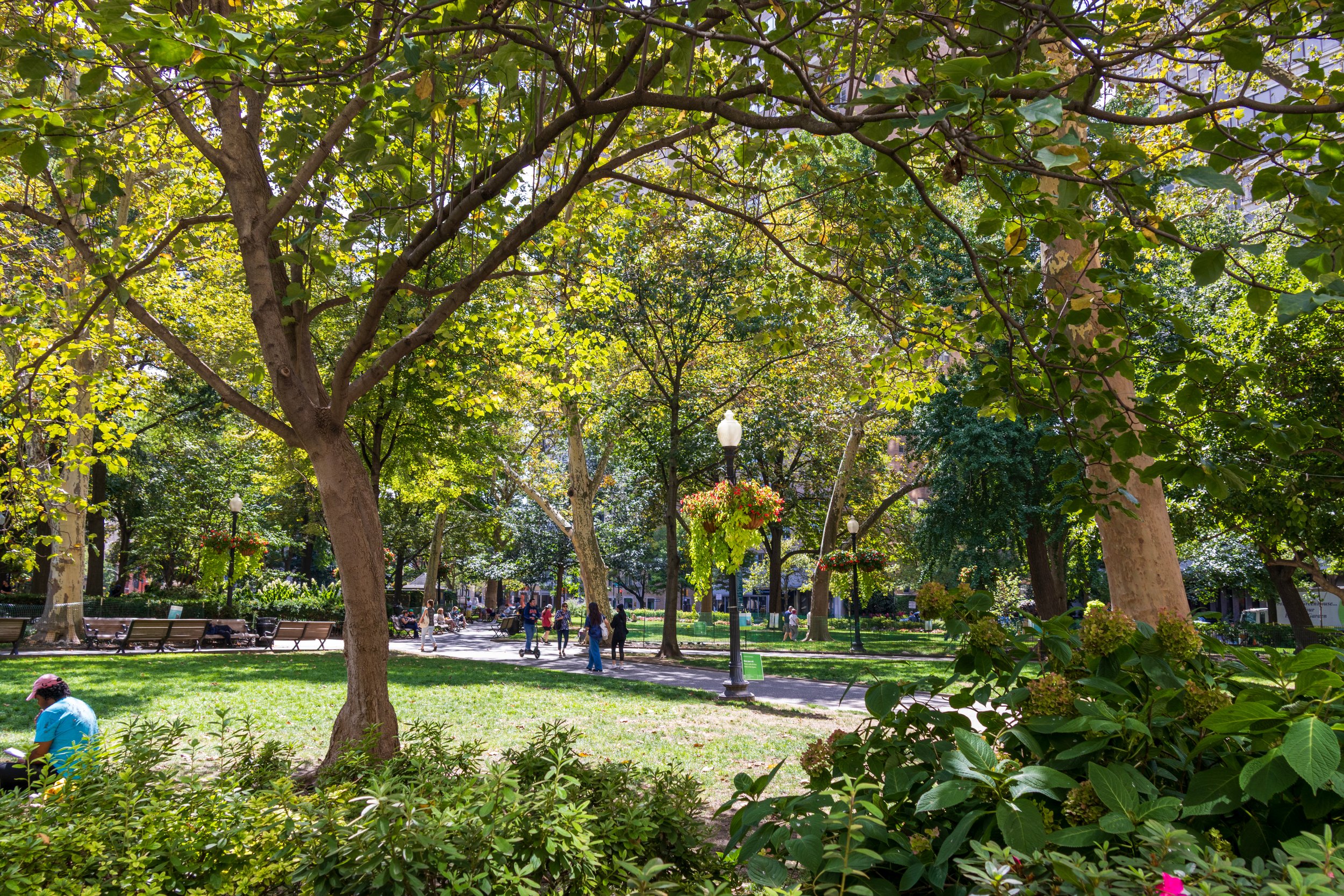 A park with trees and benches. People are walking and sitting in the shaded area, with city buildings visible in the background. The photo is taken on a sunny day.