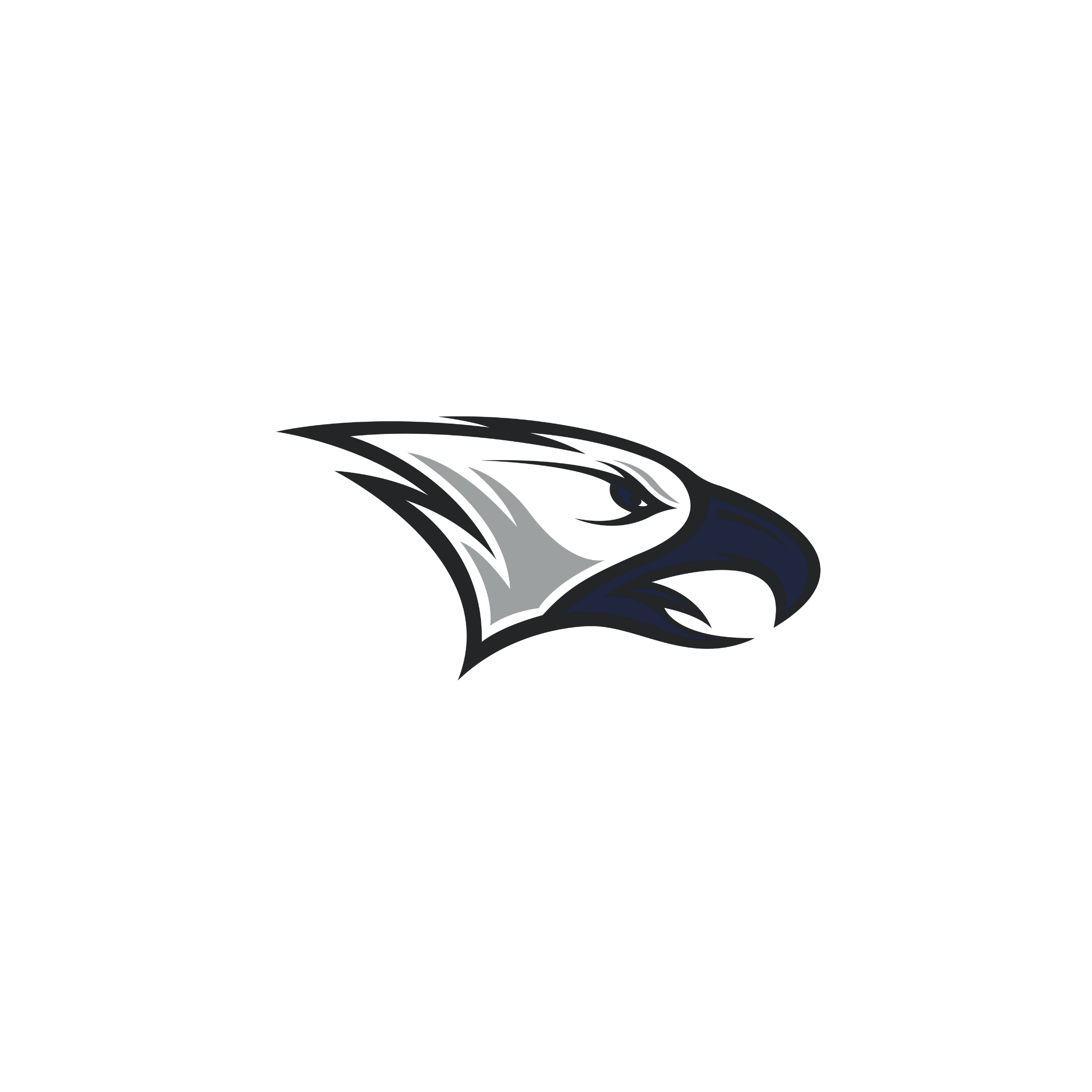 Illustration of a black, white, and gray eagle head with a fierce expression.