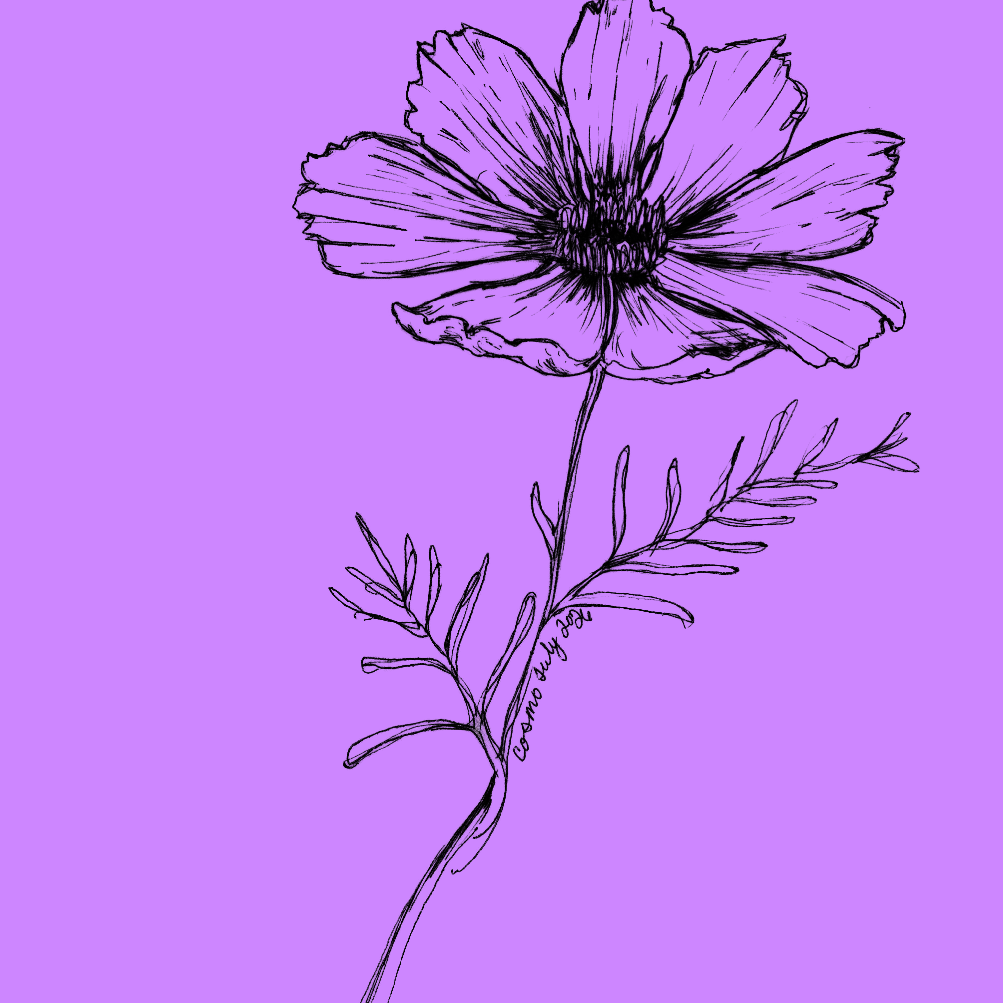Pen and ink