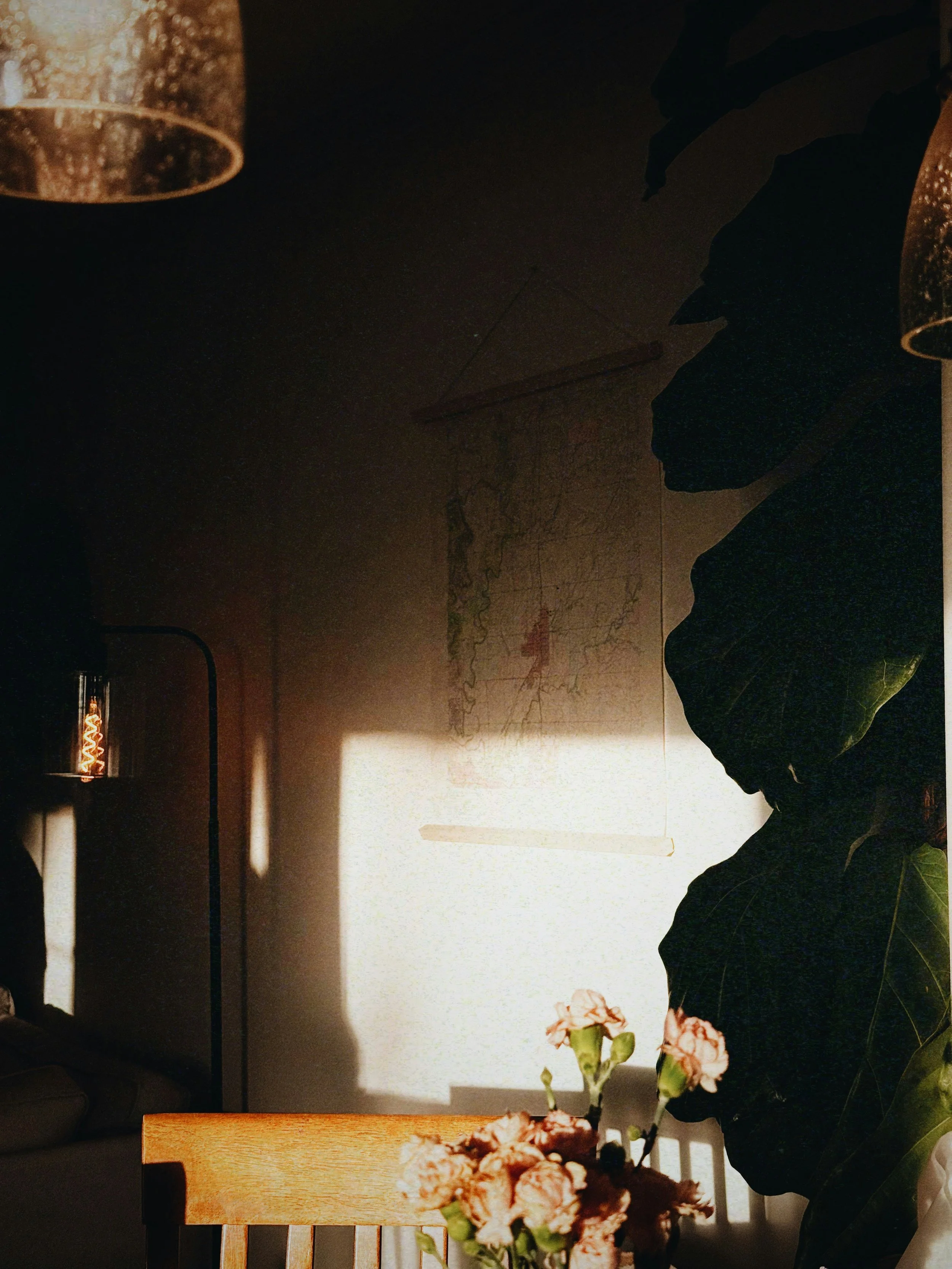 A room with a wooden dining table, flowers in a vase, a large leafy plant, a map on the wall, and hanging lights, with sunlight streaming through a window.