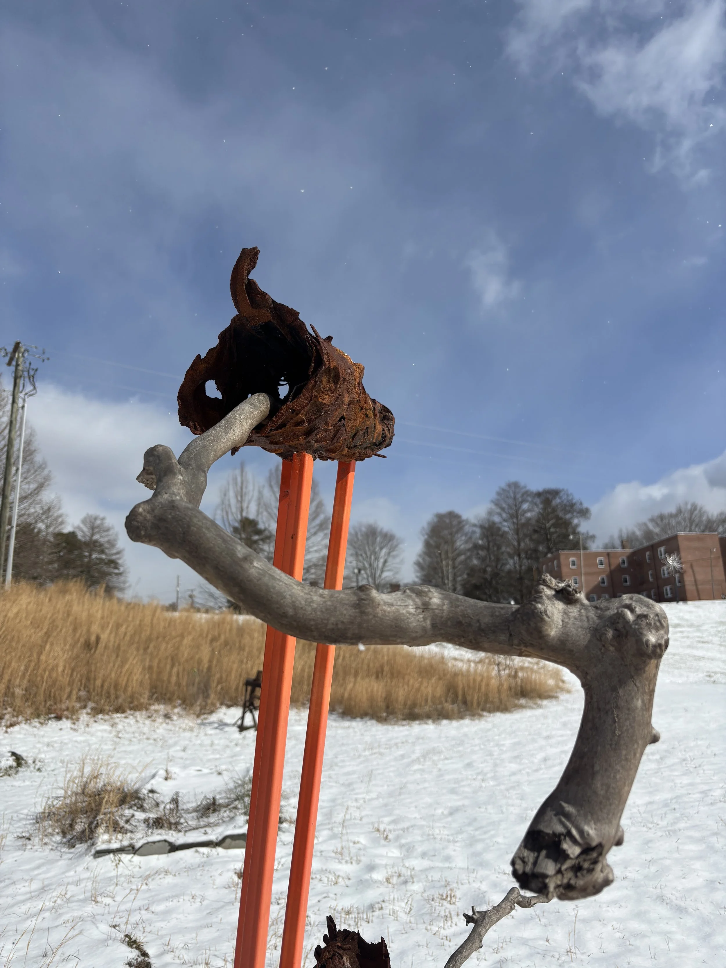 Close-up of a weathered, rusted piece of metal mounted on a piece of driftwood with snow-covered ground in the background, trees, and a building, under a partly cloudy sky.