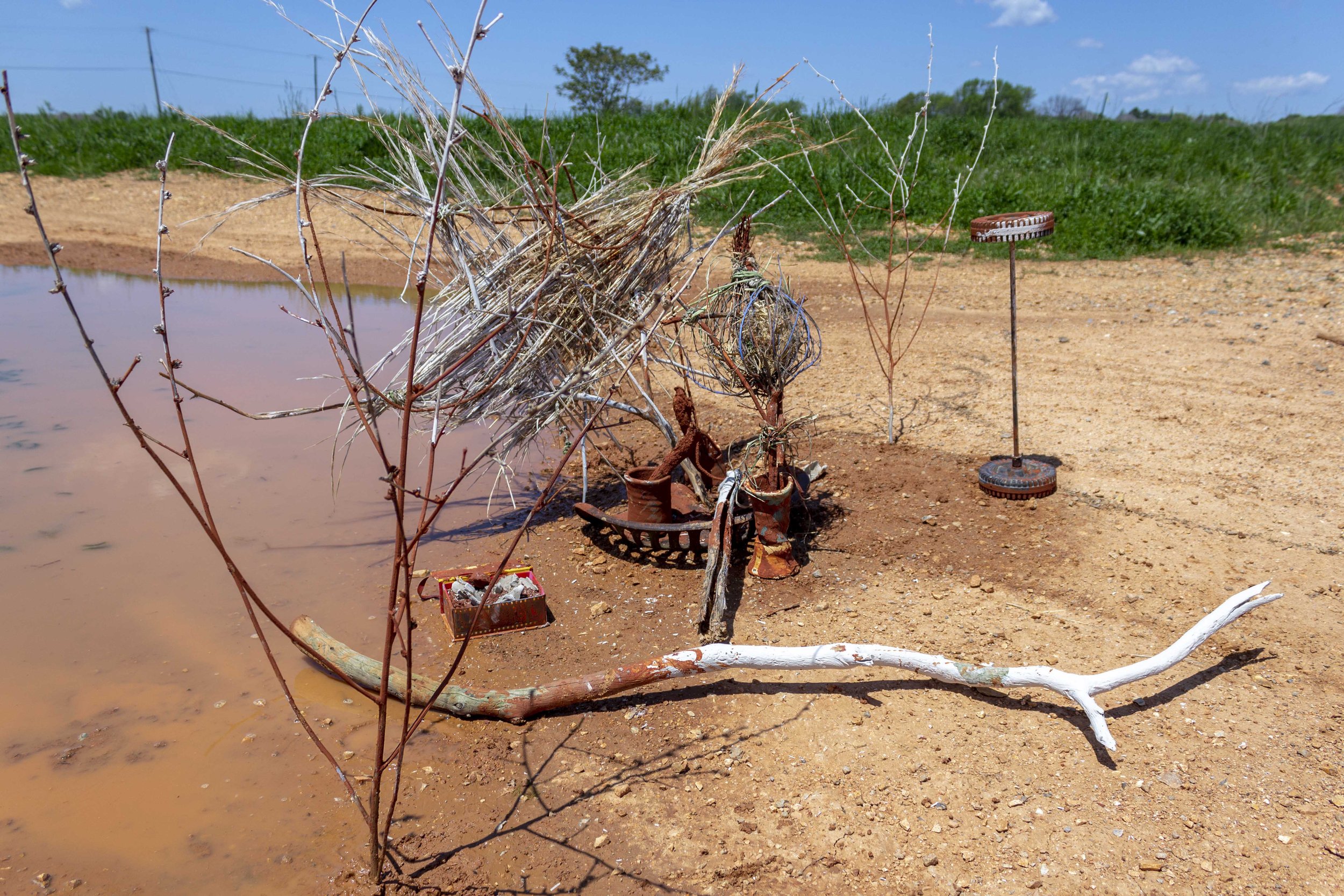 A scene near a small body of water with dry, leafless branches and various objects scattered on the sandy ground, including a plastic container, wire, and a large piece of white driftwood, with a background of green grass, trees, and a bright blue sk