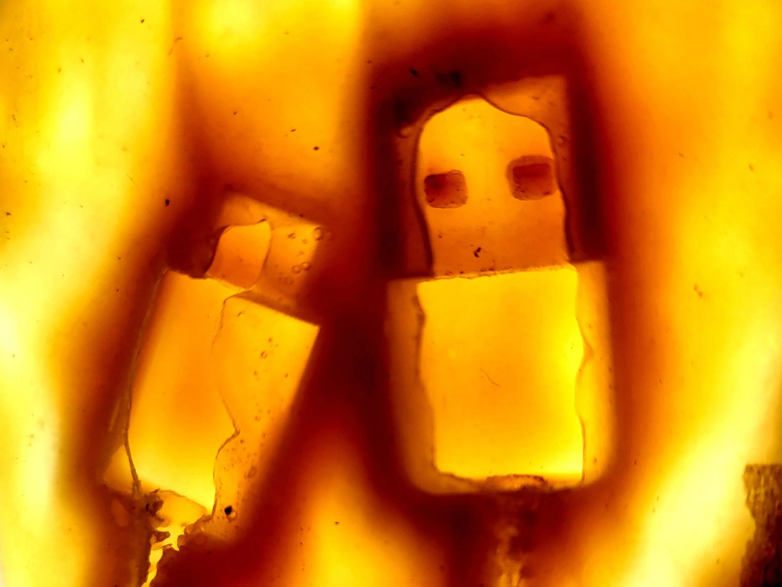 Close-up of what looks to be a piece of amber with embedded dark inclusions. It is cast silicone of a USBC Charger, held up to the sunlight. 