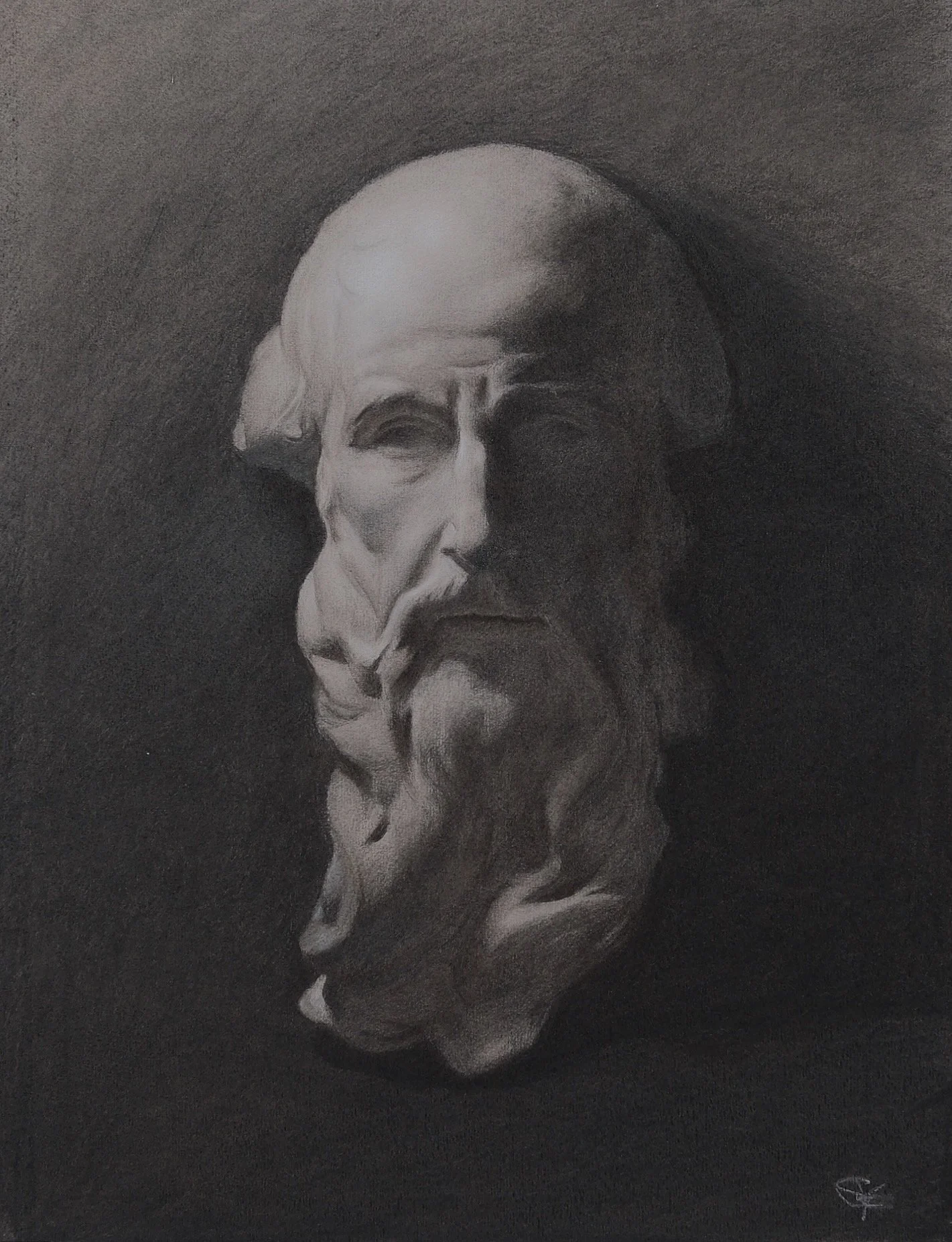 Charcoal drawing of a cast of St Jerome