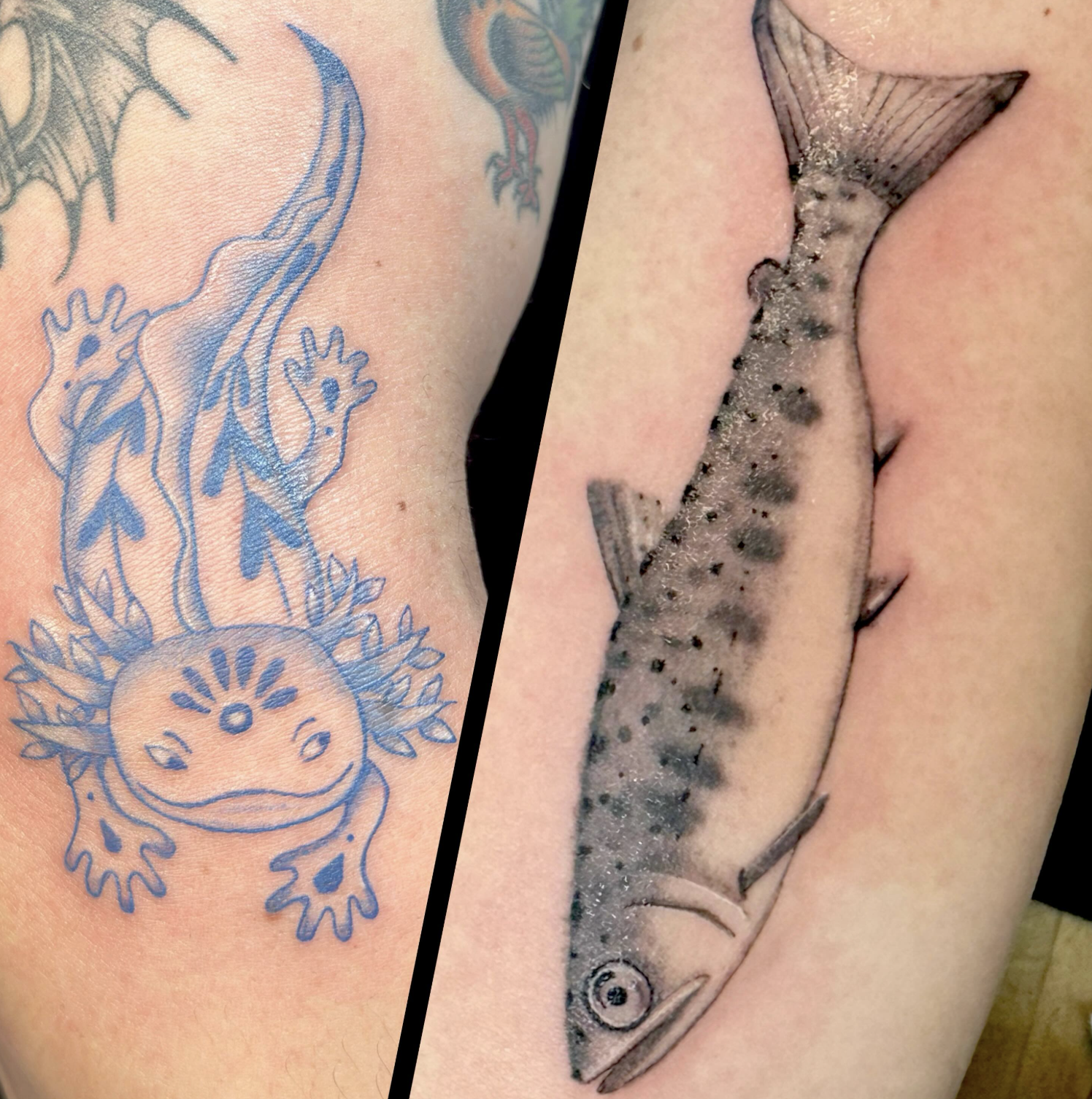 Close-up of two tattoos on skin. The left tattoo is of a cute cartoon dinosaur with a smiling face and leafy crown on its head, surrounded by decorative elements. The right tattoo is a realistic depiction of a fish, possibly a whale shark, with detai