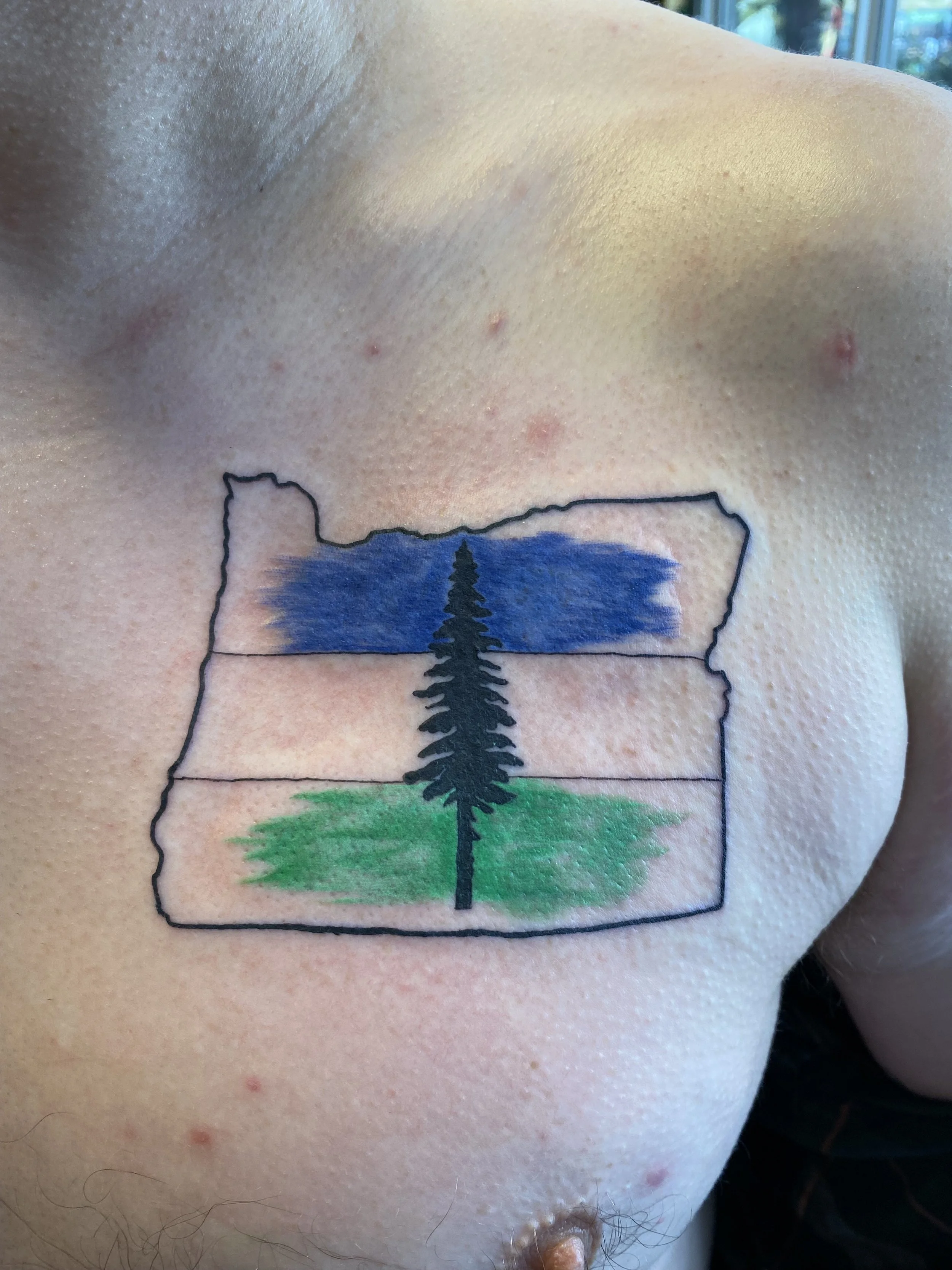 A close-up of a tattoo on person's skin, showing a black outline of a rectangle with a green forest and a blue sky inside, with a black tree silhouette in the middle.