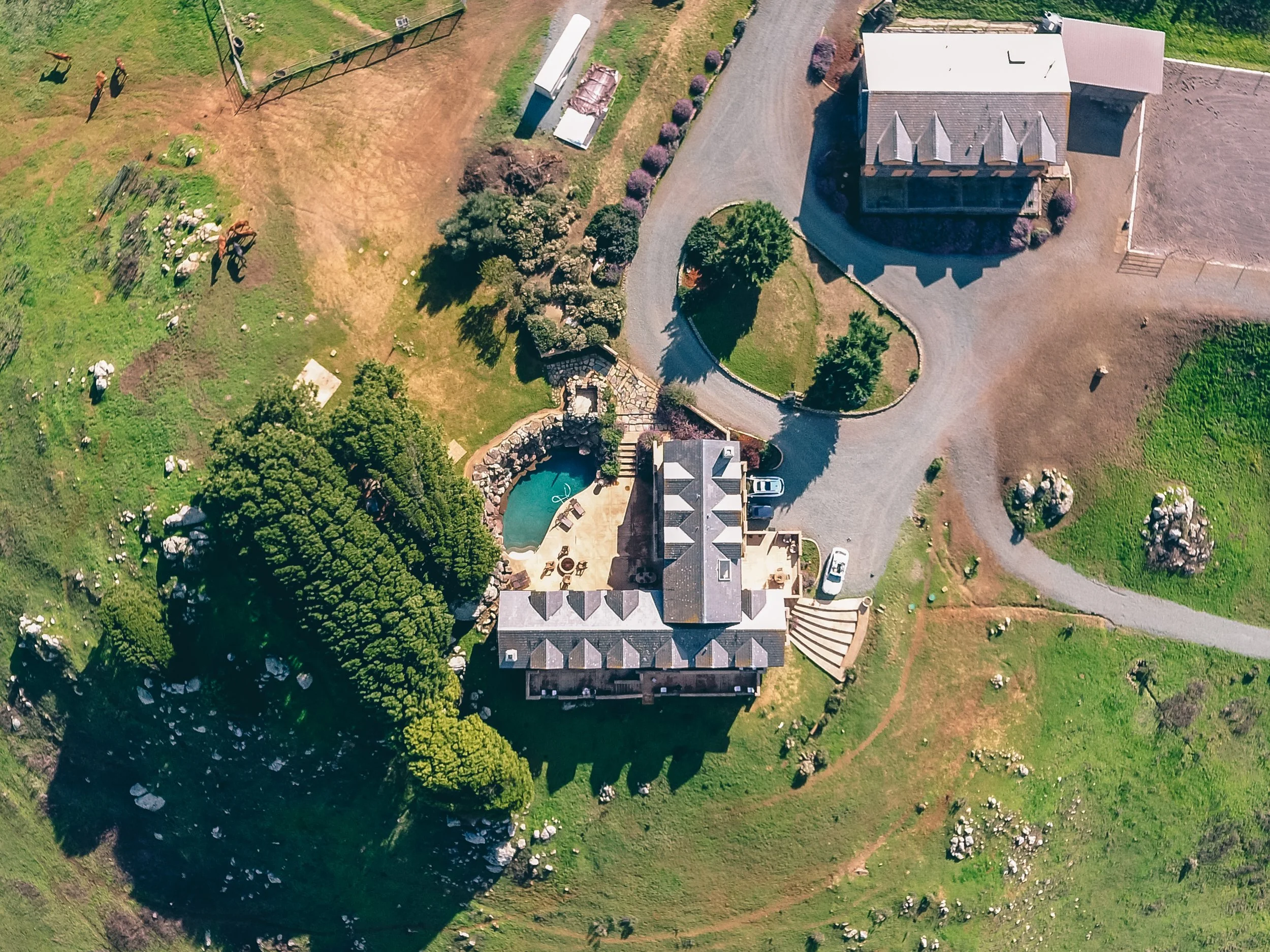 Weddings at Danehill