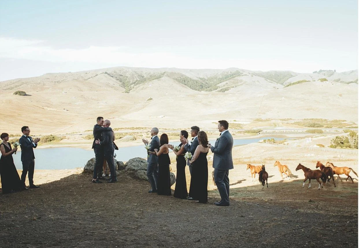A wedding ceremony taking place outdoors in a rural, hilly landscape with horses grazing nearby. The bride and groom are hugging, surrounded by wedding guests dressed in formal attire, with some clapping.