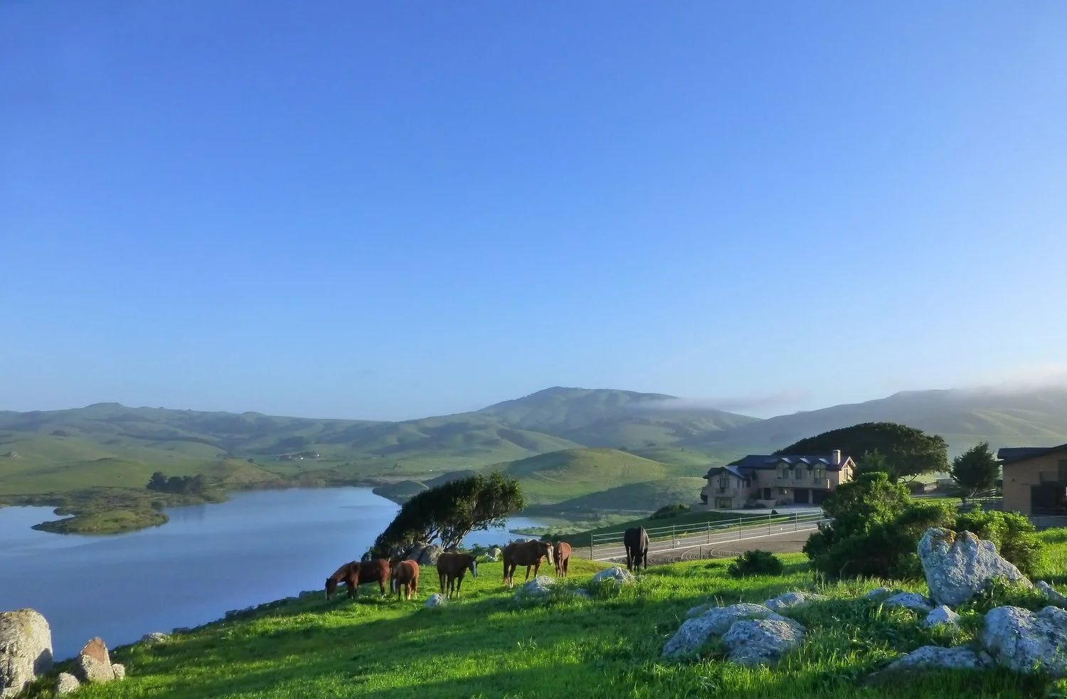 Landscape of a lake surrounded by green hills with a group of horses grazing in the foreground, a few houses and trees nearby, and a clear blue sky.