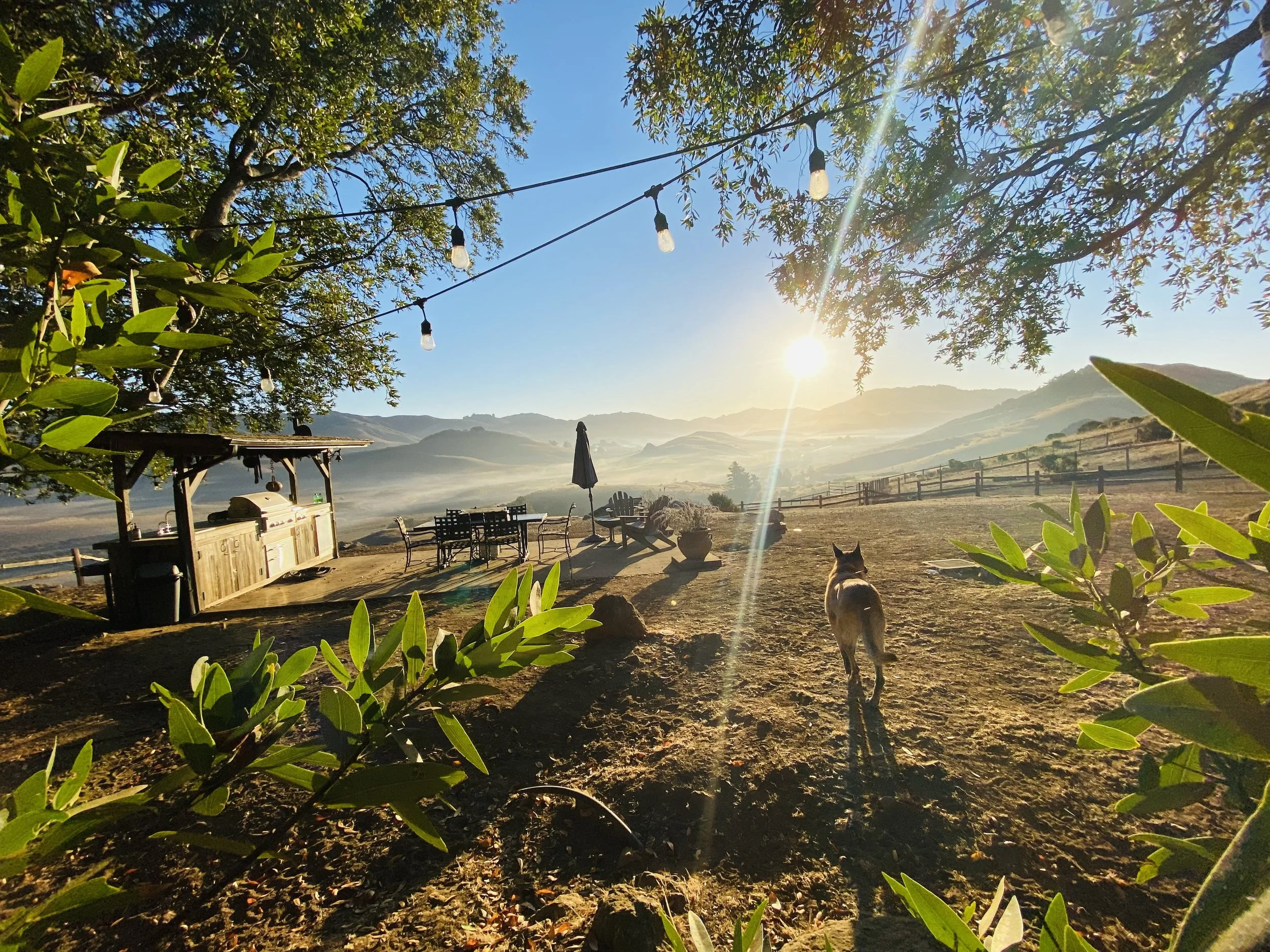 Sunrise over a farm scene with string lights hanging in trees and mountains in the background, with some chairs and a small outdoor kitchen setup in the foreground.