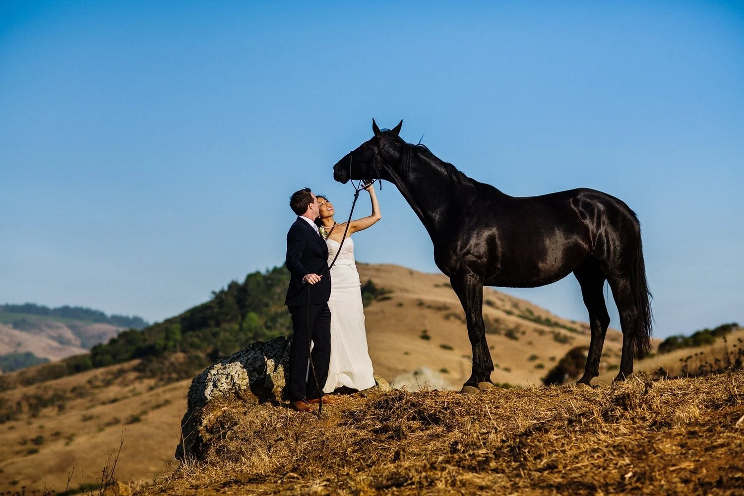 A bride and groom standing outdoors on a hilltop with a black horse. The bride is touching the horse's face as the groom looks on. The background features rolling hills and a clear blue sky.