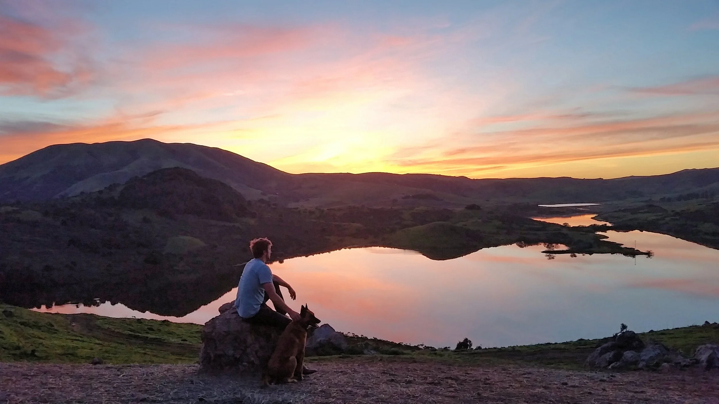 A guest overlooking the Nicasio Reservior with their dog