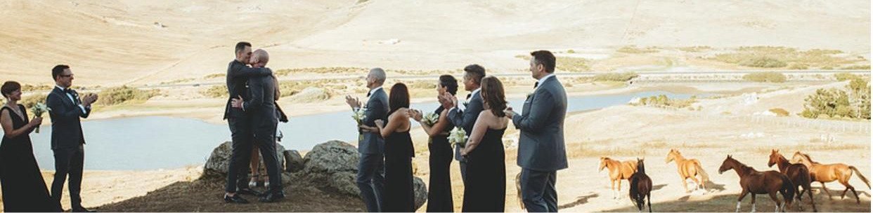 A wedding ceremony taking place outdoors near a body of water with a desert-like landscape and horses in the background. The bride and groom are embracing, and guests are standing in a line, some holding flowers and others clapping.