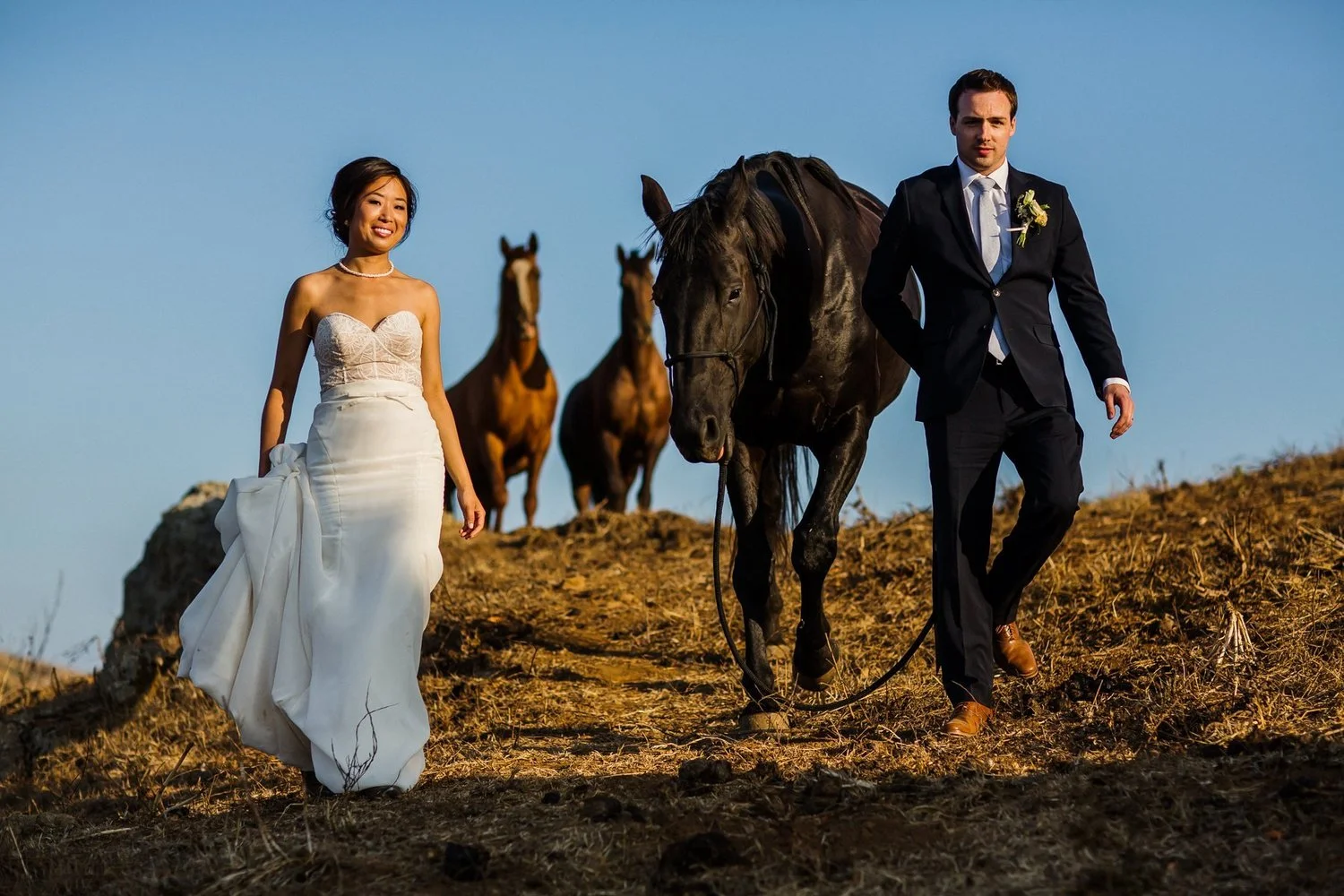 Bride and groom walking outdoors with horses in the background.