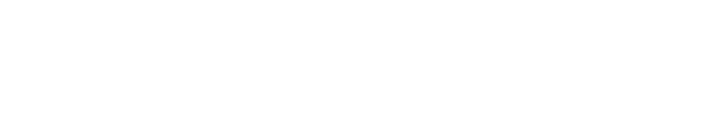 Studio Vogel