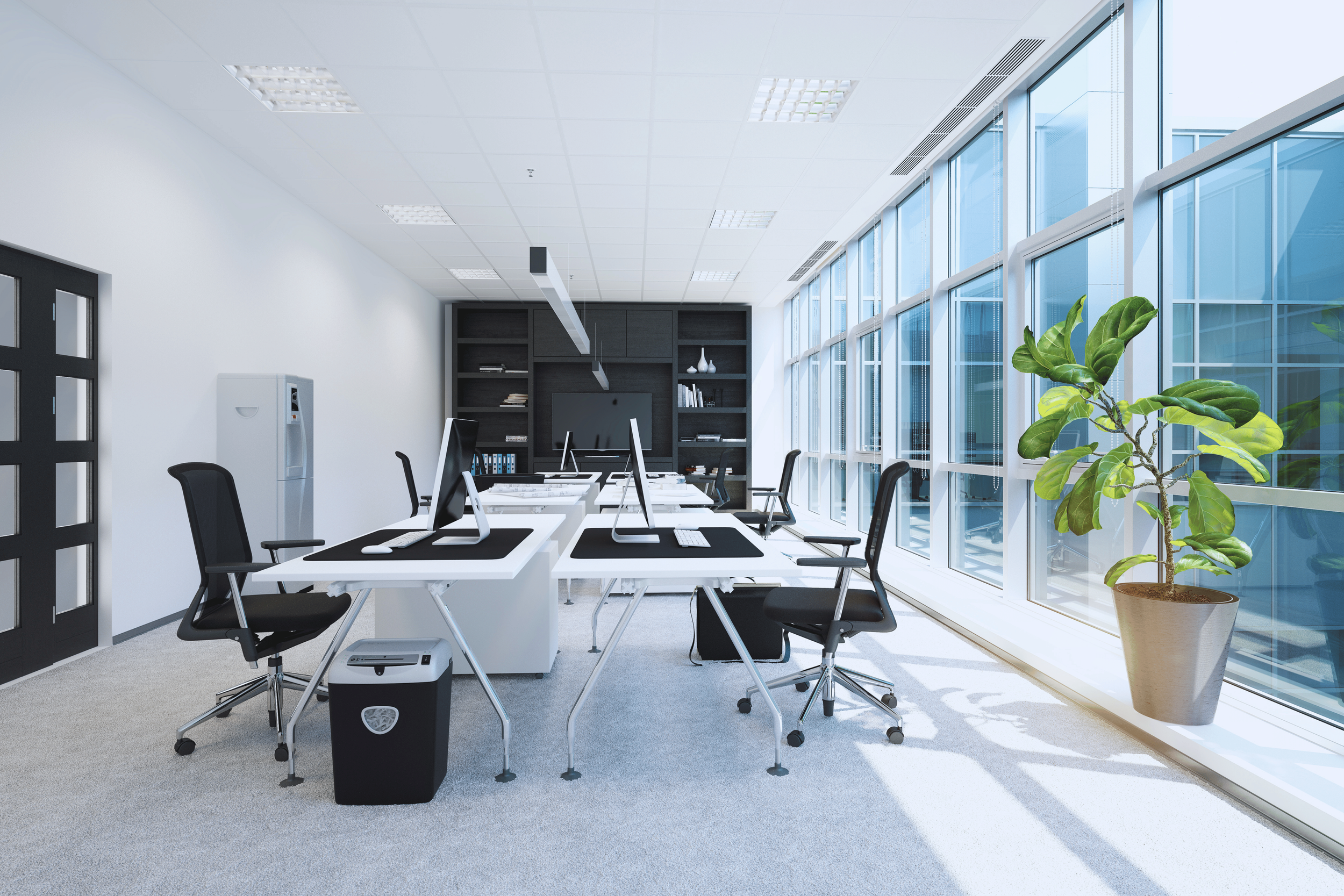 Modern office with white desks, black chairs, large windows, green potted plant, and black bookshelf at the back.