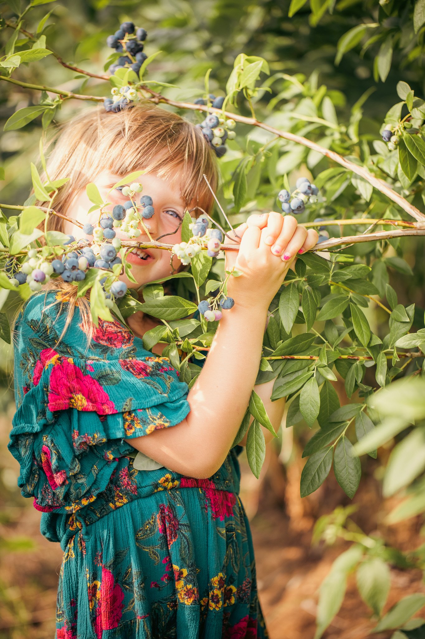 A young girl with blue eyes and light brown hair, wearing a colorful teal dress with pink, yellow, and red floral patterns, reaching for blueberries on a bush in a lush outdoor setting.