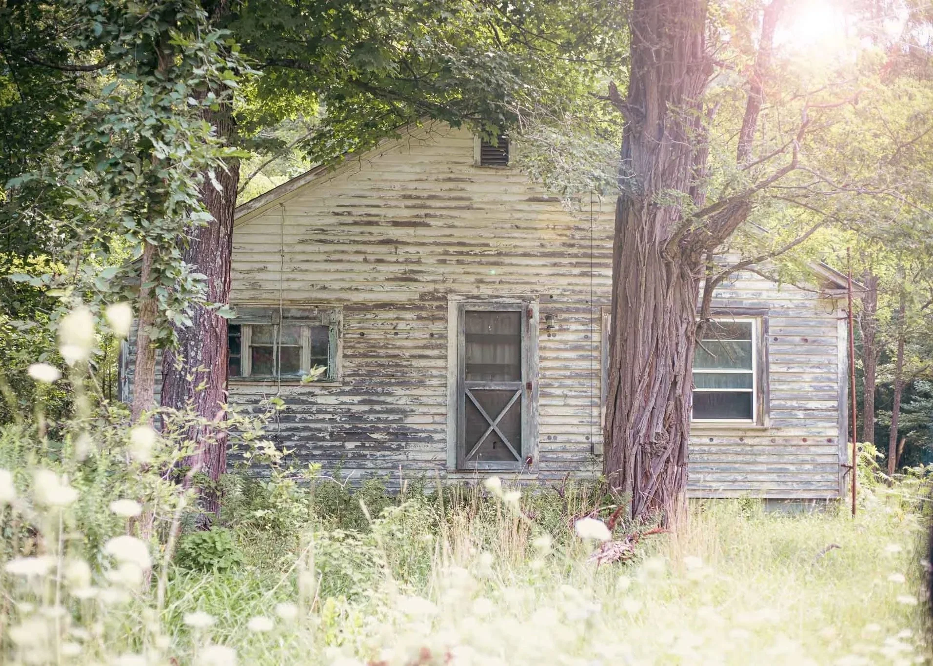 An old, weathered wooden house surrounded by trees, with the sunlight filtering through the leaves.