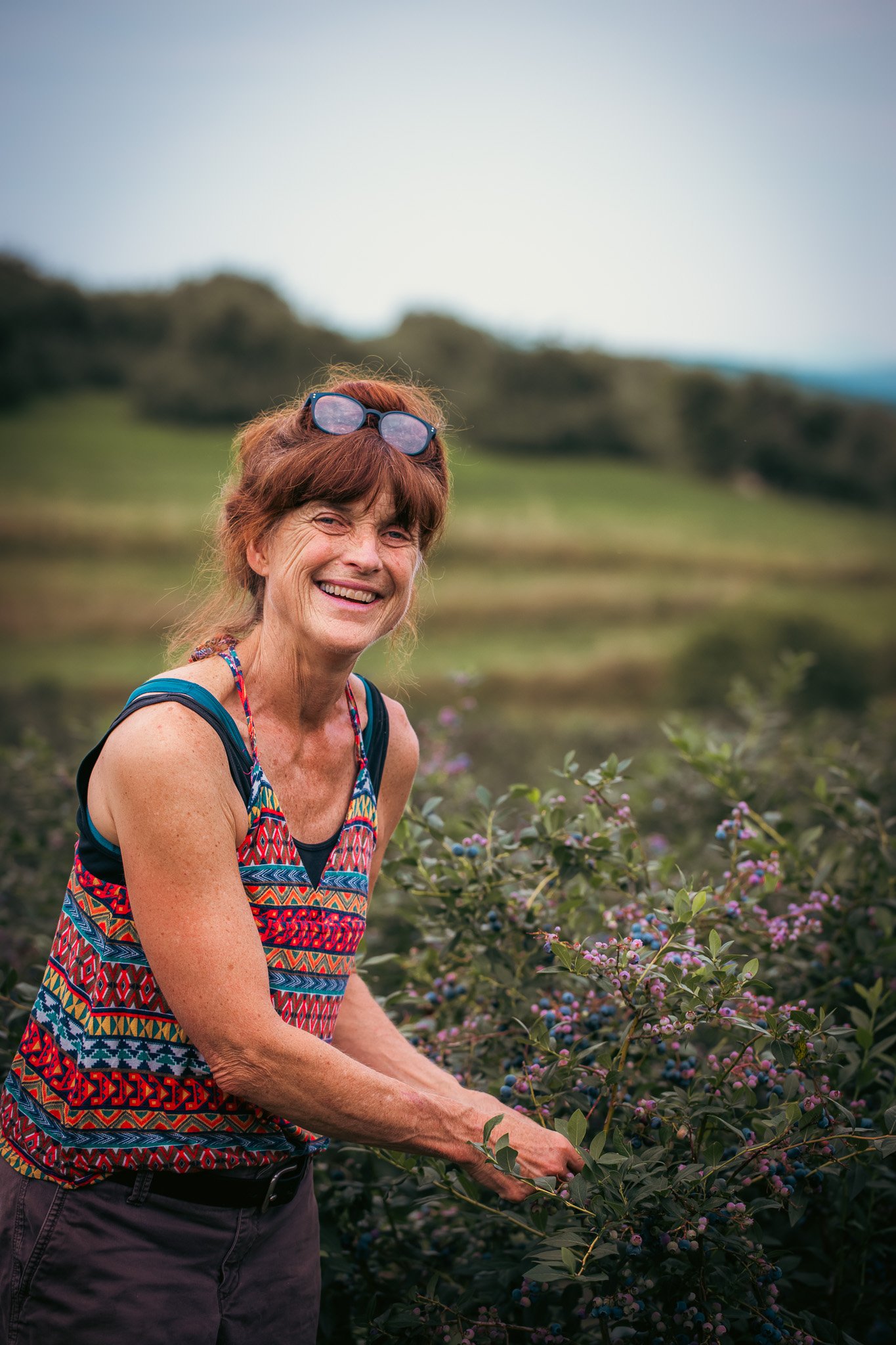 A smiling elderly woman with red hair, sunglasses on her head, wearing a colorful patterned sleeveless top, harvesting blueberries in a field.