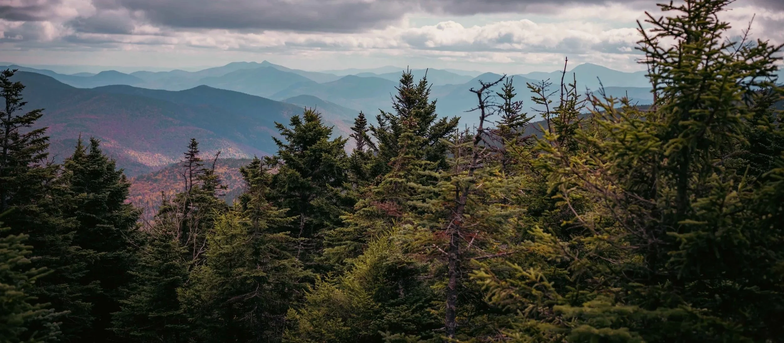 Mountain landscape with multiple layers of distant mountain ranges under cloudy sky, foreground filled with dense evergreen trees