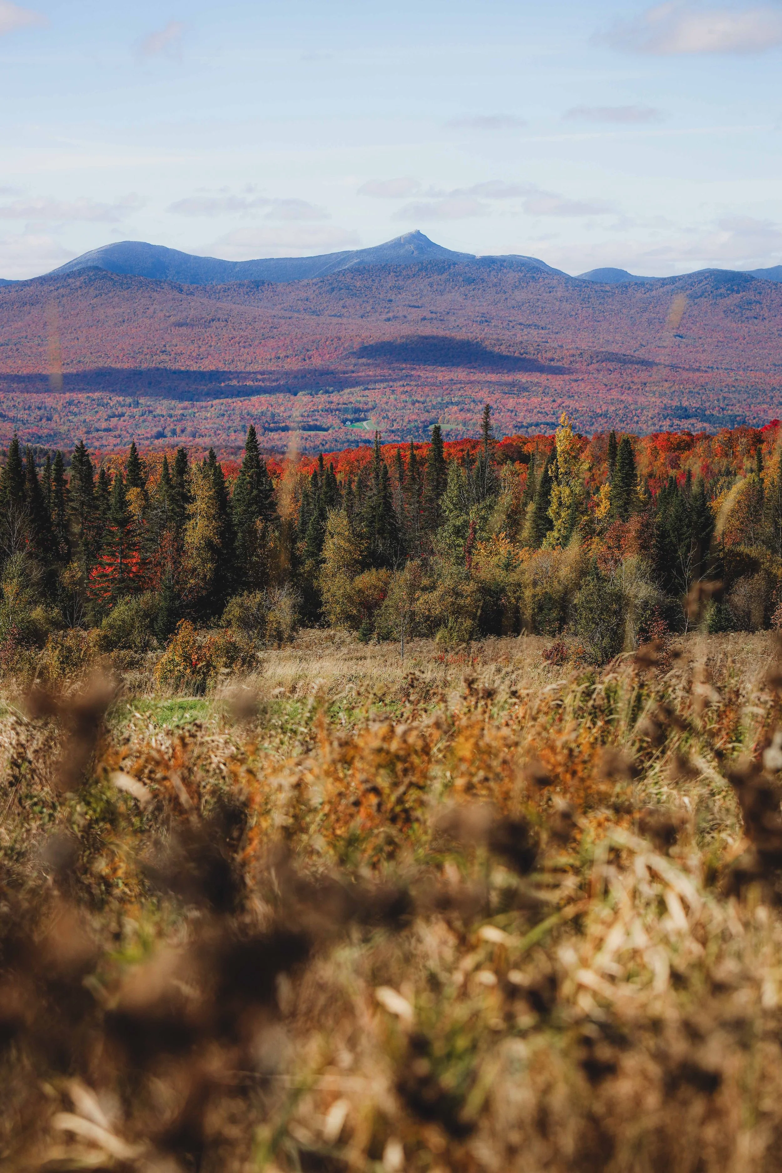 A mountain range with autumn-colored forest in foreground and a few clouds in the sky.